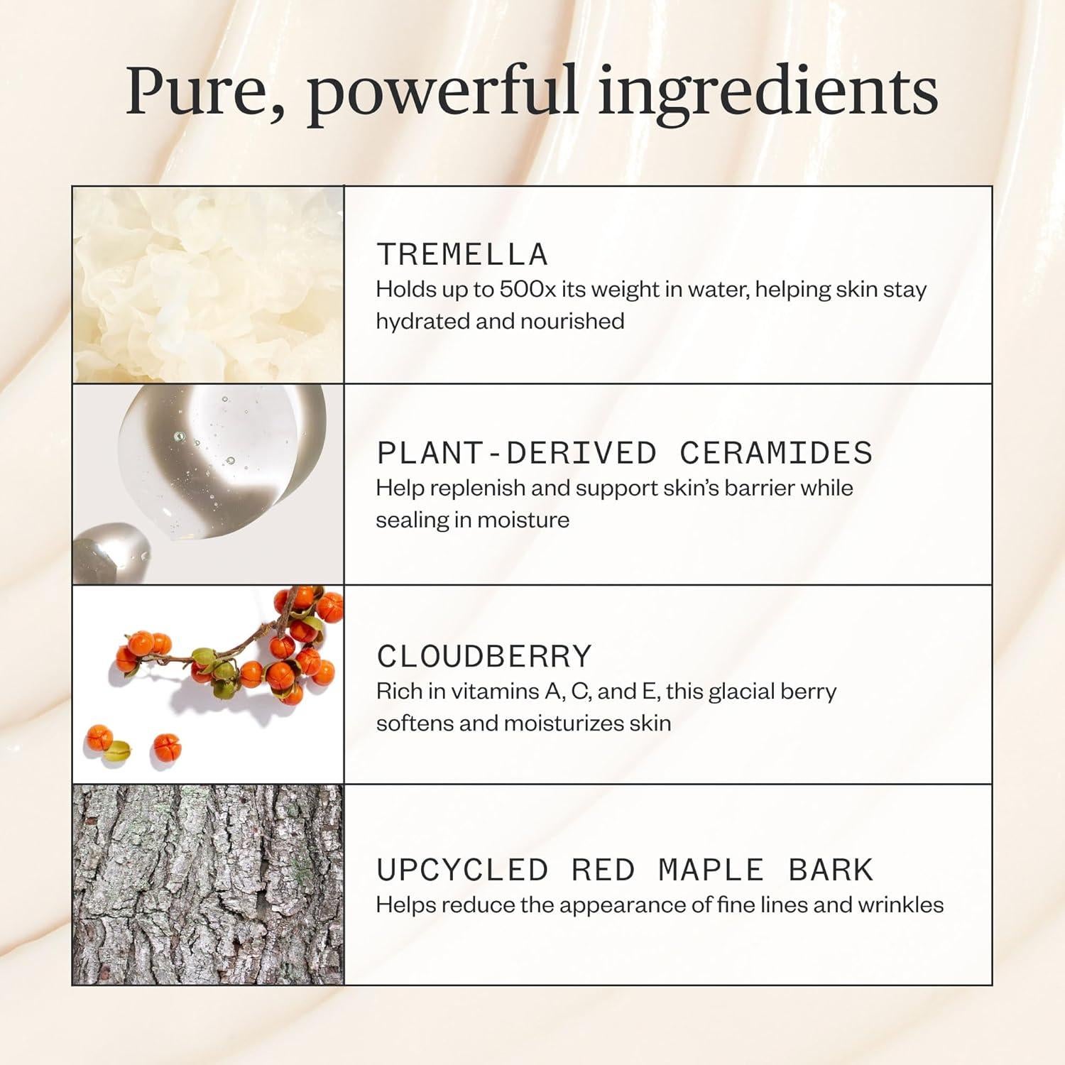 Crema Rica Alpina Ursa Major 48g - Hidratante Vegana para Piel Seca