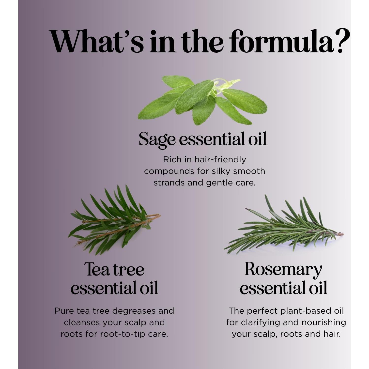 Champú de Salvia y Romero Maple Holistics 473ml Sin Sulfatos