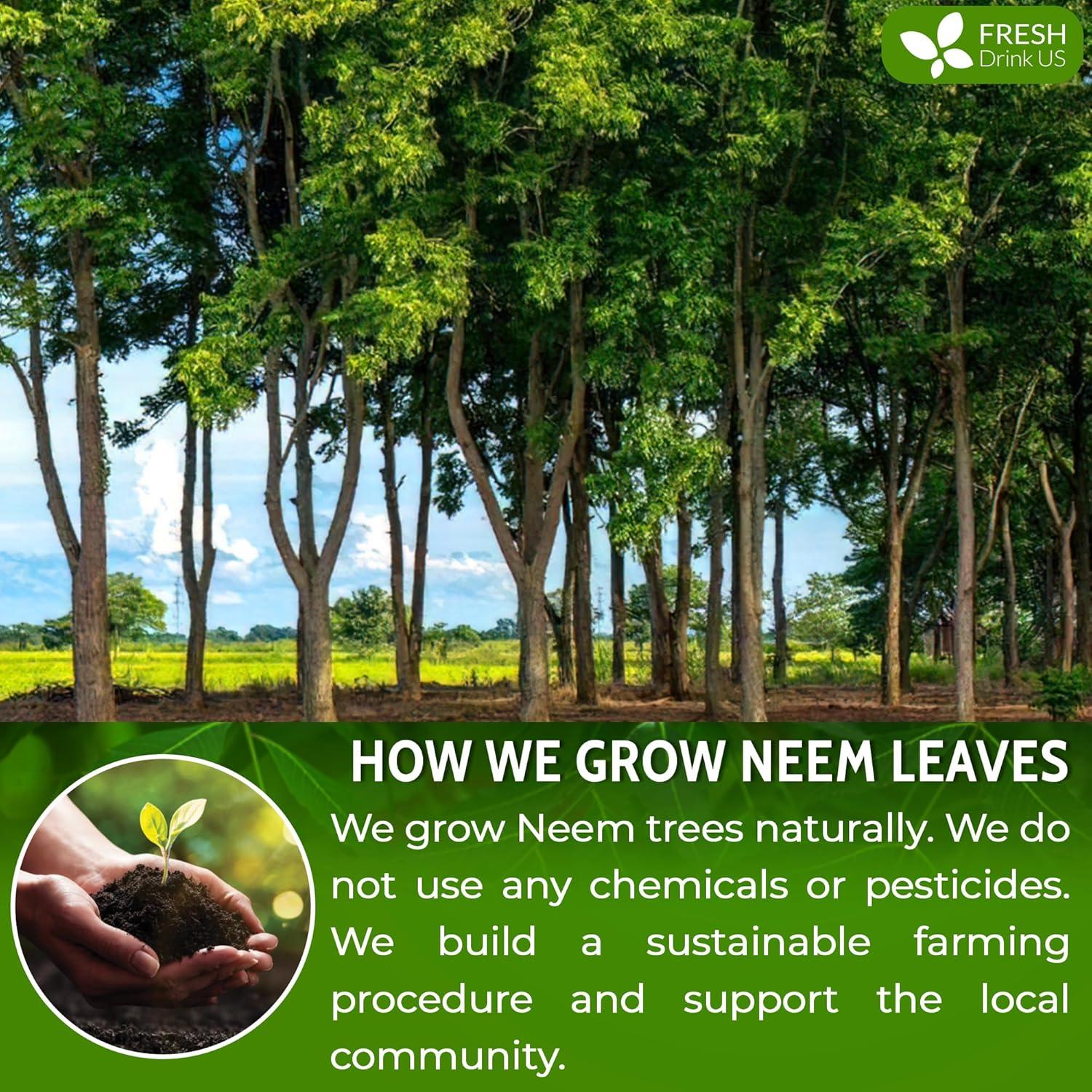 Polvo de Hoja de Neem 170g FreshDrinkUS 100% Natural para Piel y Cabello