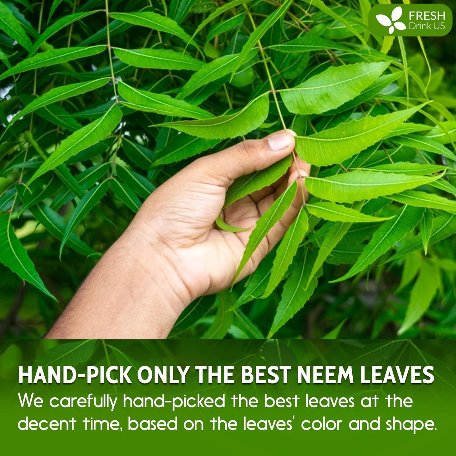 Polvo de Hoja de Neem 170g FreshDrinkUS 100% Natural para Piel y Cabello