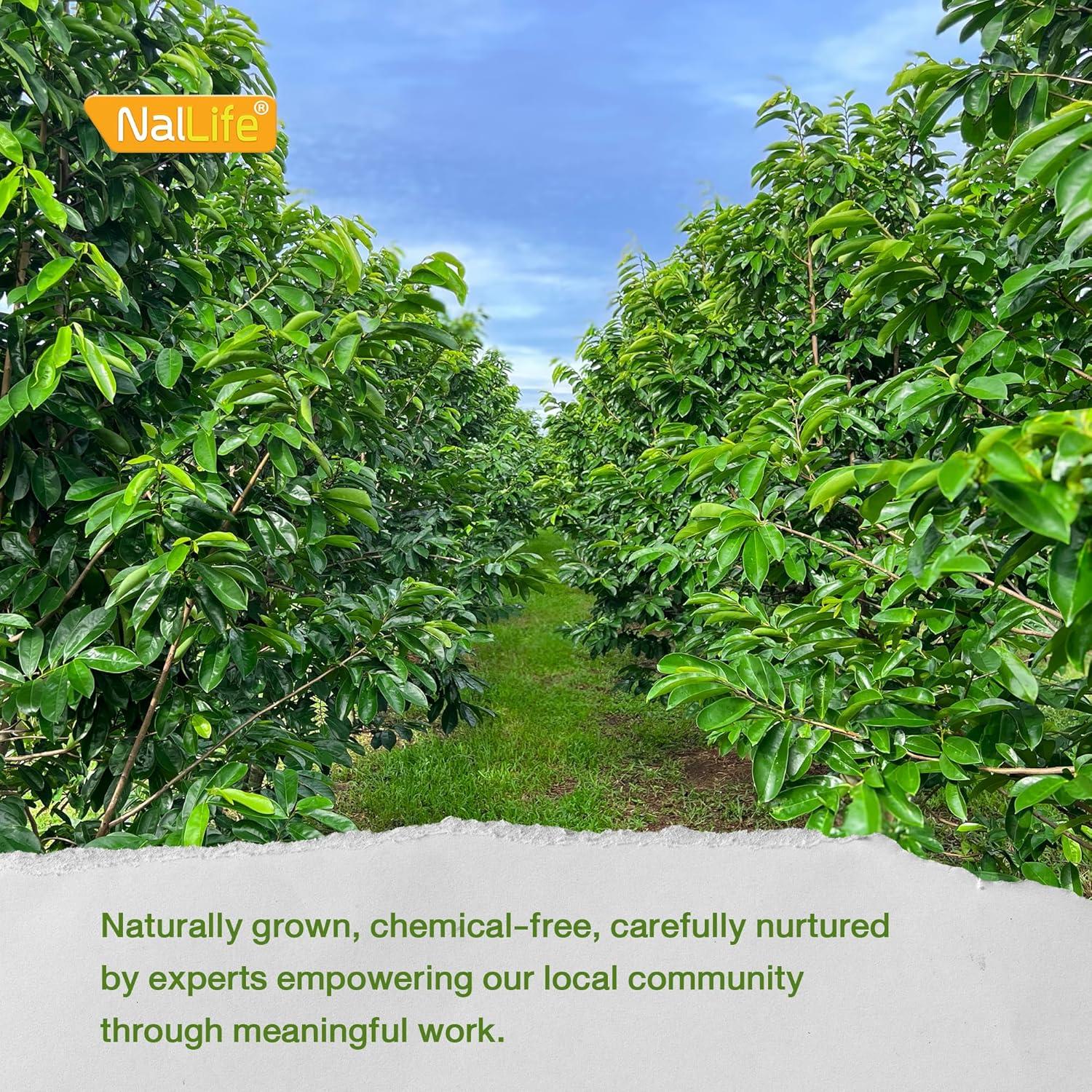 Té de Hojas de Guanábana NalLife - 40 Bolsas de 2.7g