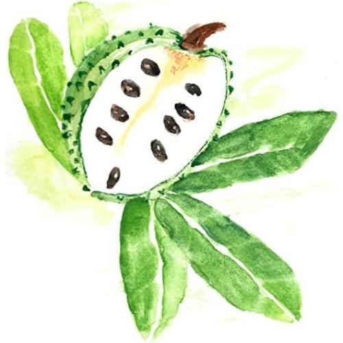 Extracto Botánico de Graviola Orgánico Mauifarmacy 30ml