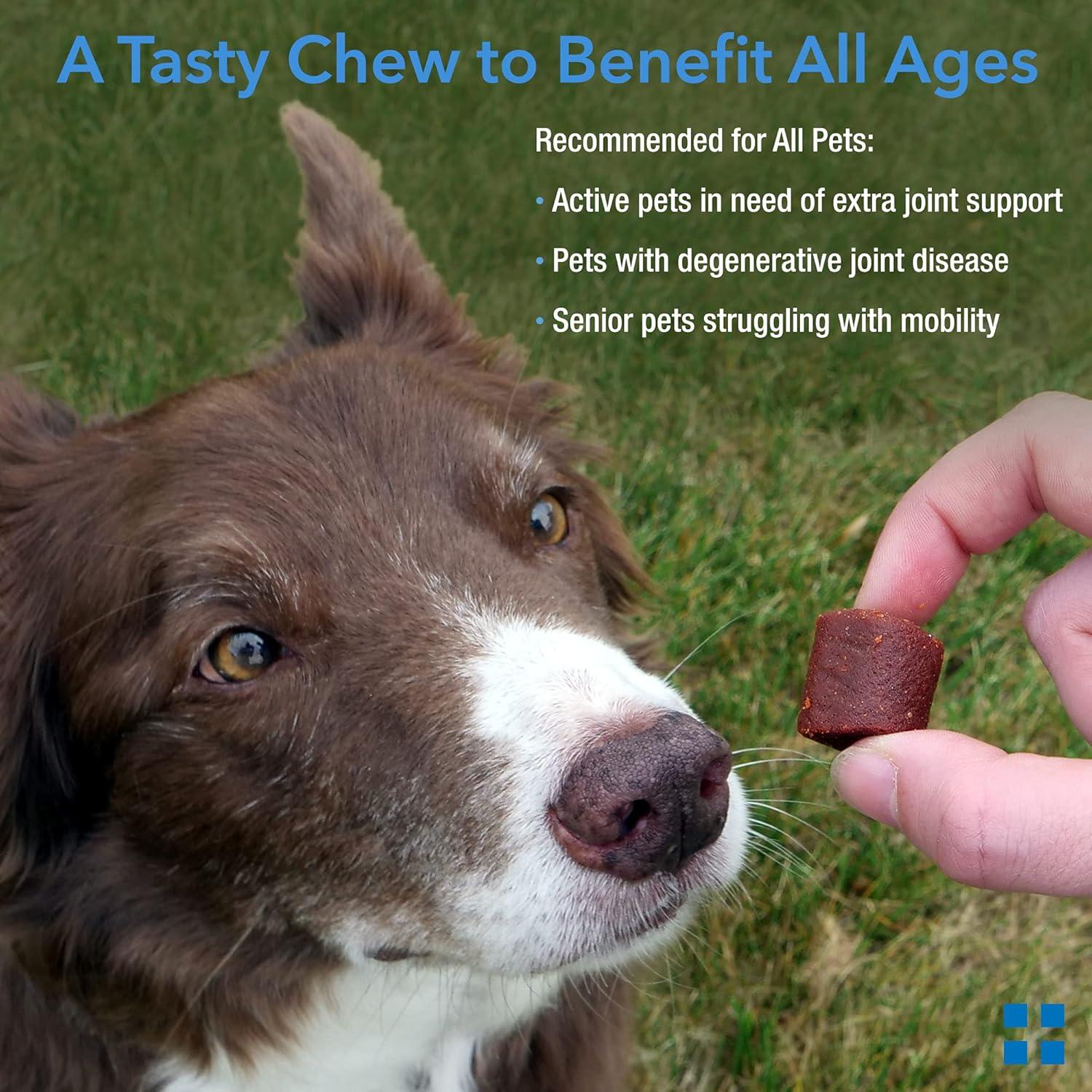 Suplemento Articular Krillex para Perros y Gatos - 60 Golosinas