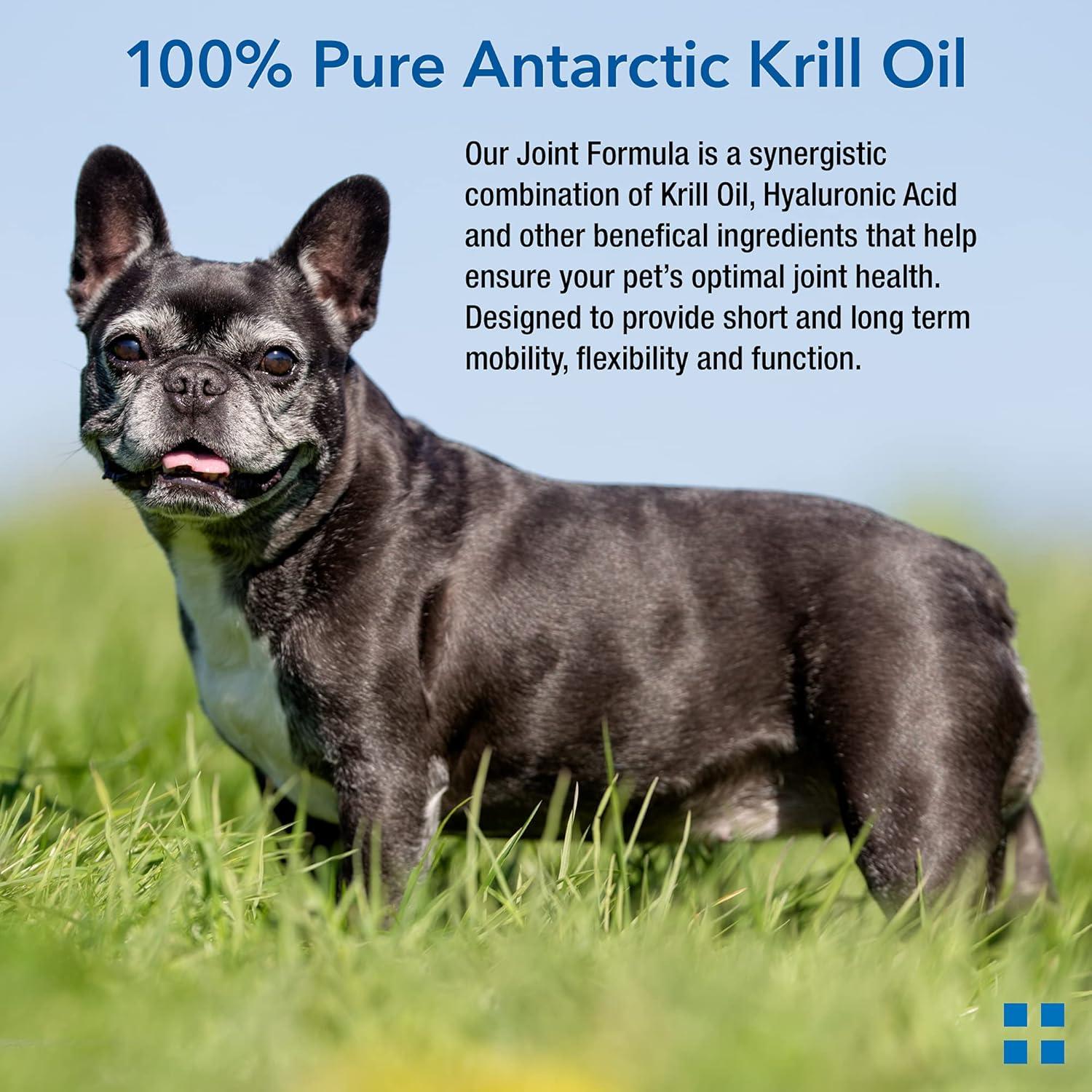 Suplemento Articular Krillex para Perros y Gatos - 60 Golosinas