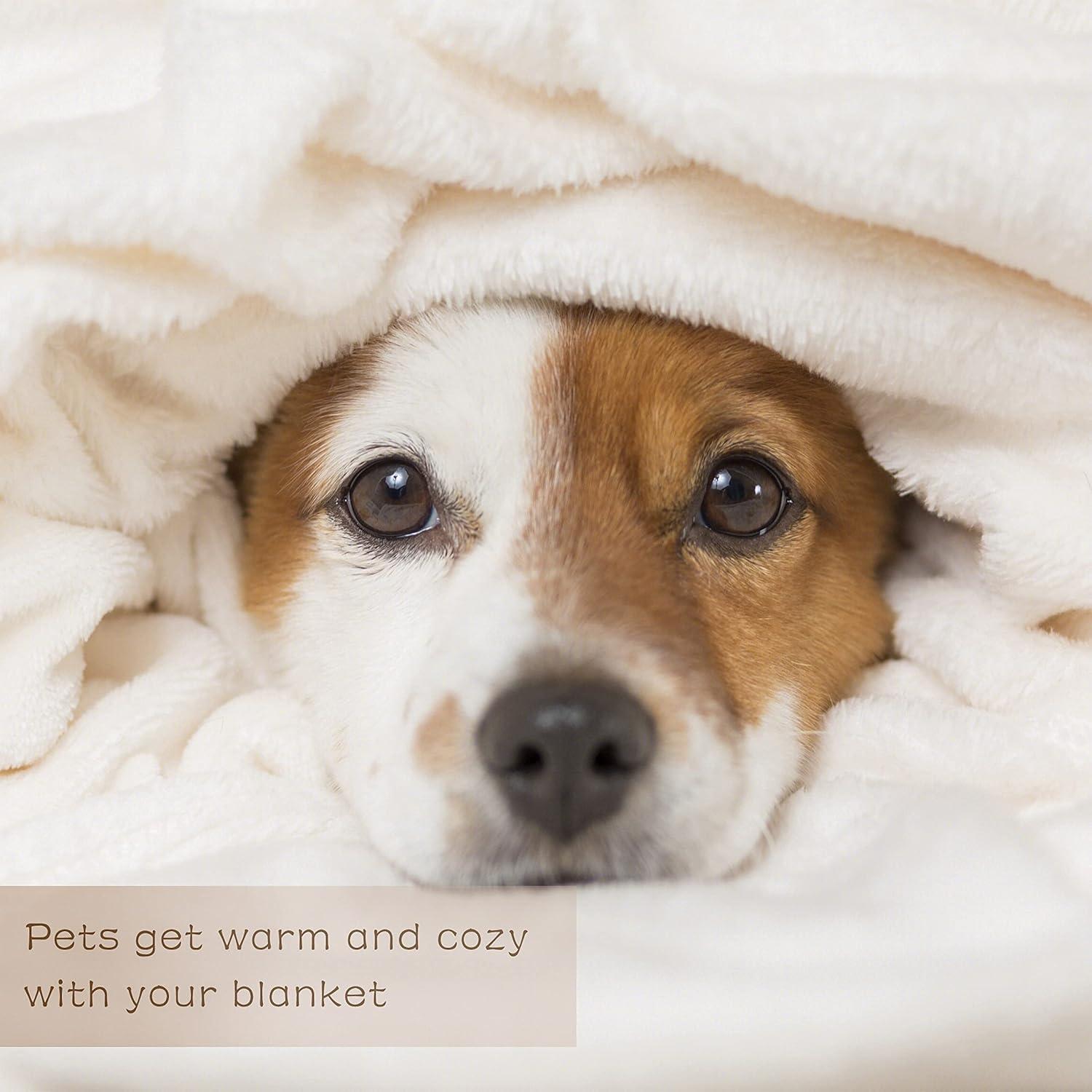 Manta de Franela BEFOOD para Mascotas 76cm x 102cm Fútbol