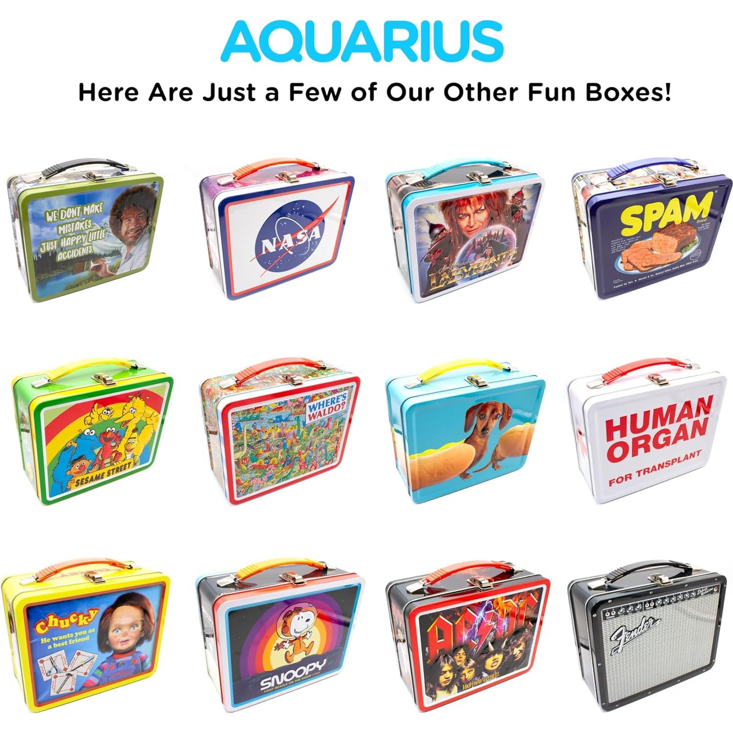 Caja de Almacenamiento AQUARIUS Shrek 3L con Tapa Embosada