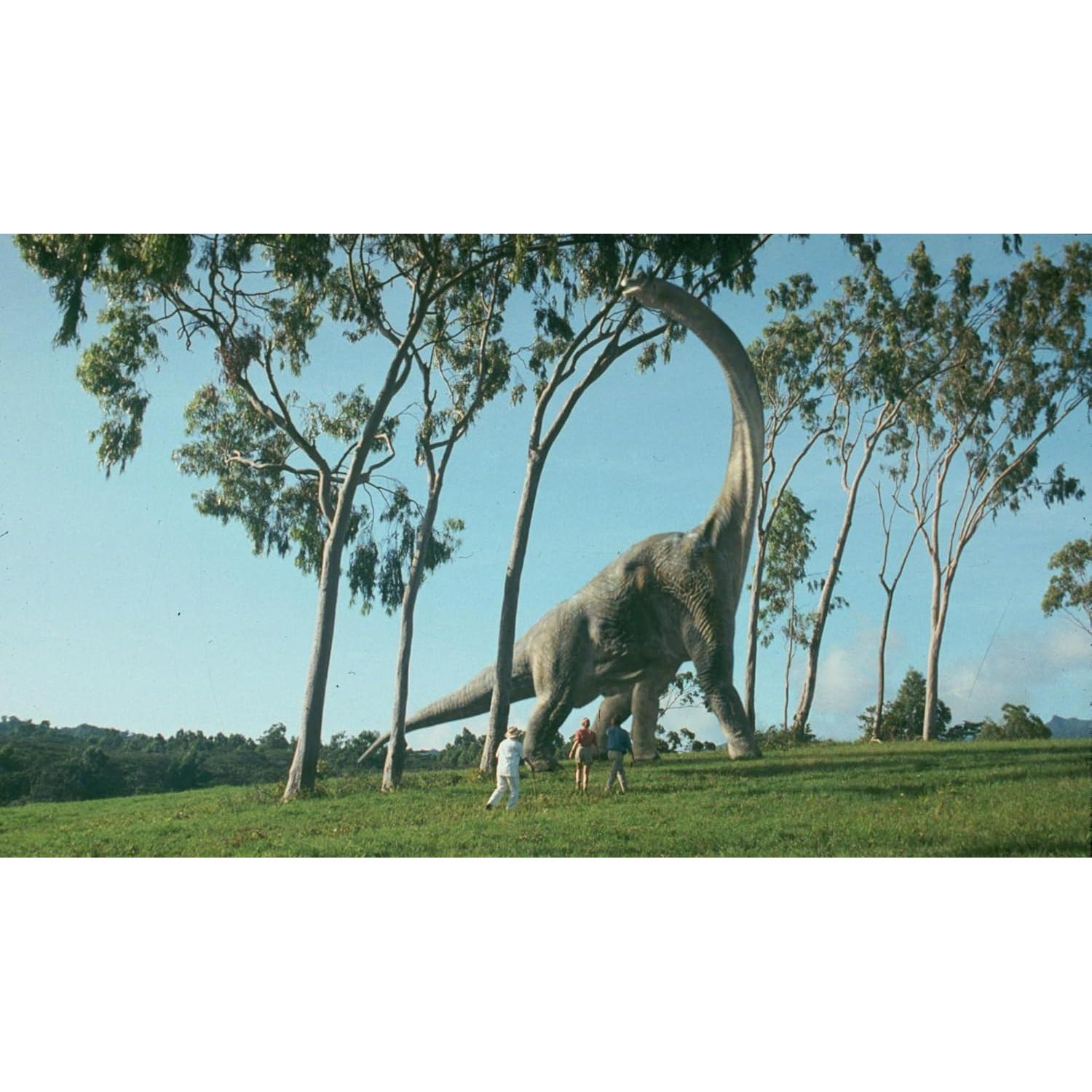 Película Parque Jurásico DVD Bilingüe Inglés/Español