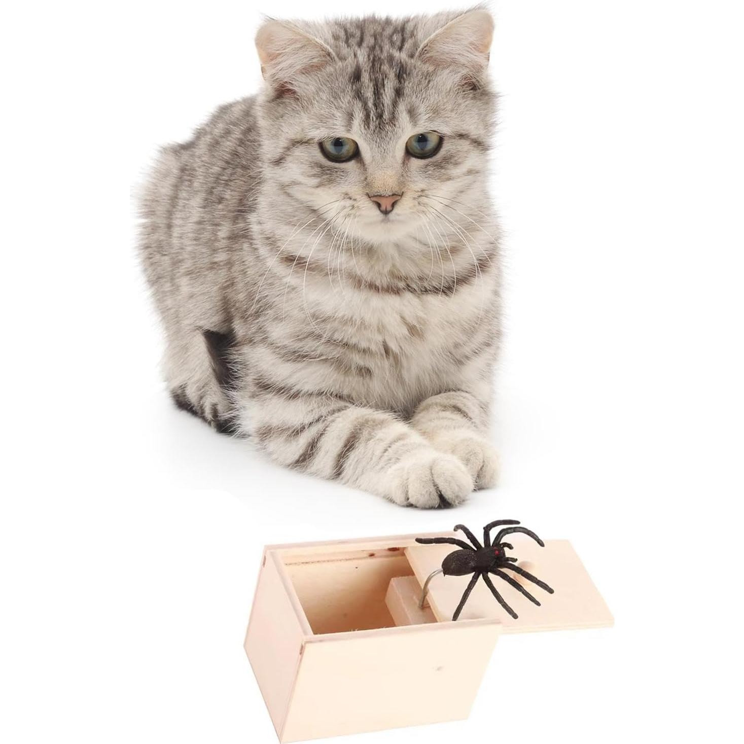 Caja de Sorpresa de Araña de Goma Winbar - Juguete de Truco