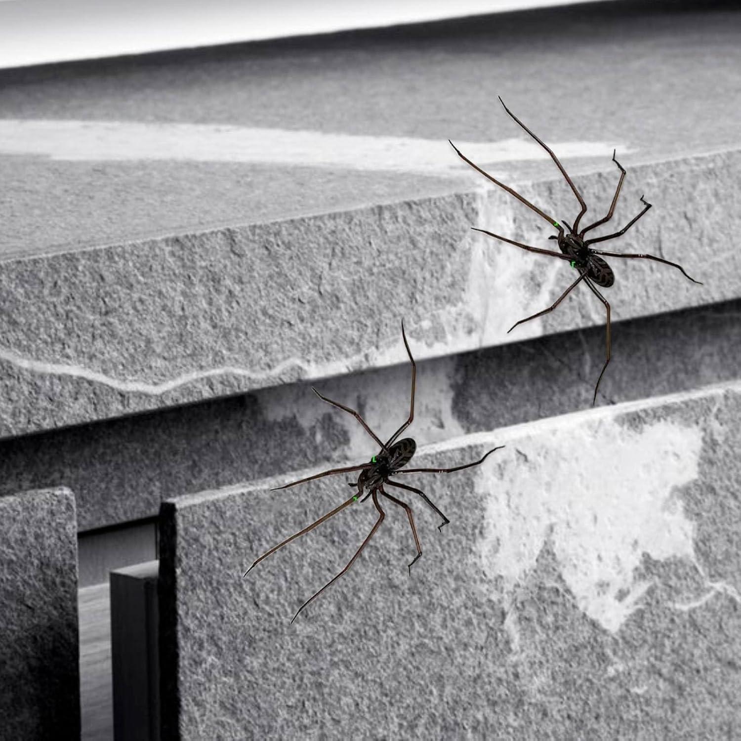 Imán de Araña 3D Pureadee - 2 Pcs Decoración Realista