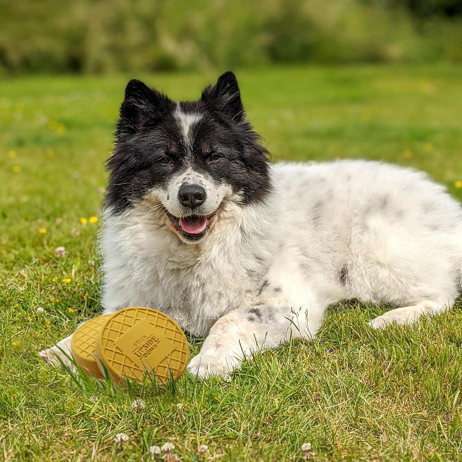 design LAB, Inc. Stranger Things Official Merchandise | Chew Toys for Dogs | 2-Pack Rubber Toy Waffles | Collectible Dog Toy Squeaks for Interactive Play
