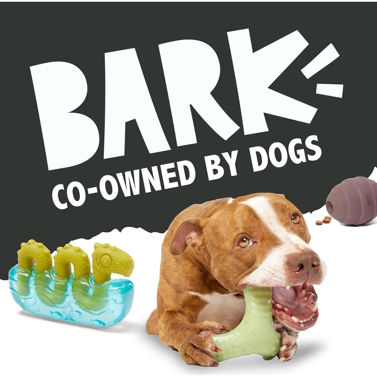 Juguete para Perros Pequeños Barkbox Torbert El Troll - Caucho Natural