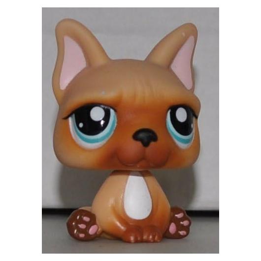 Bulldog Francés Marrón con Pecho Blanco - Littlest Pet Shop
