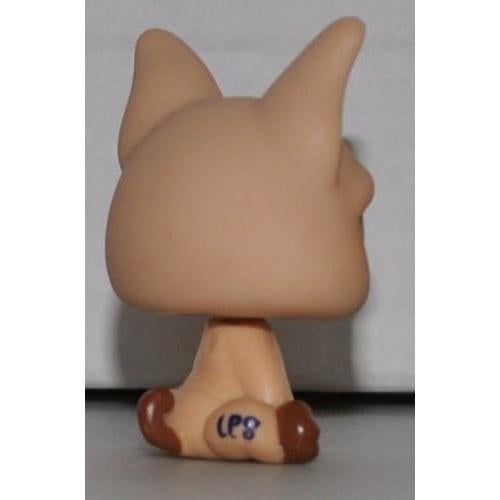 Bulldog Francés Marrón con Pecho Blanco - Littlest Pet Shop