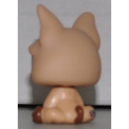 Bulldog Francés Marrón con Pecho Blanco - Littlest Pet Shop