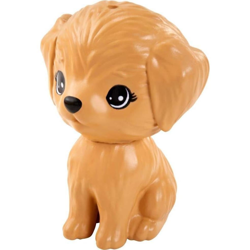 Muñeca Barbie Cumpleaños Perdido Mattel 29.8 cm