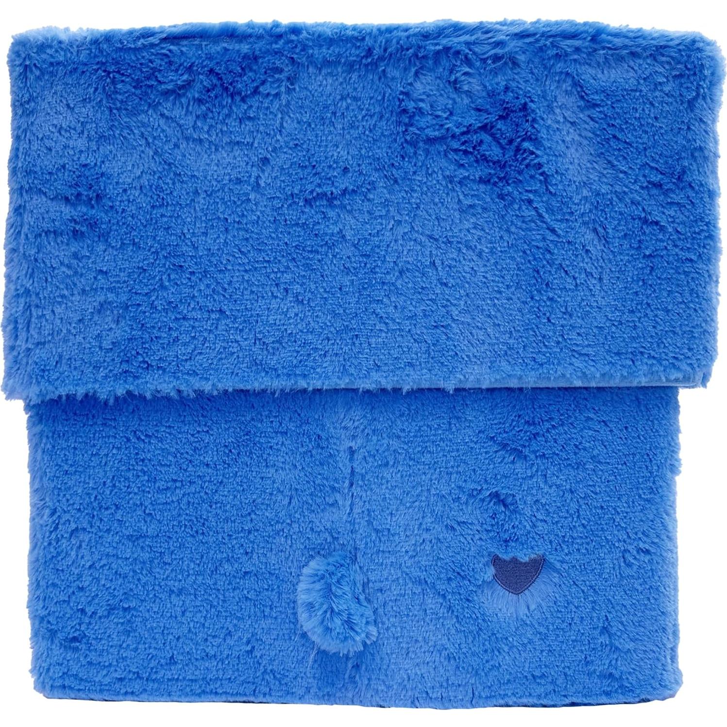 Contenedor de Almacenamiento Care Bears Gruñón 30 cm Azul