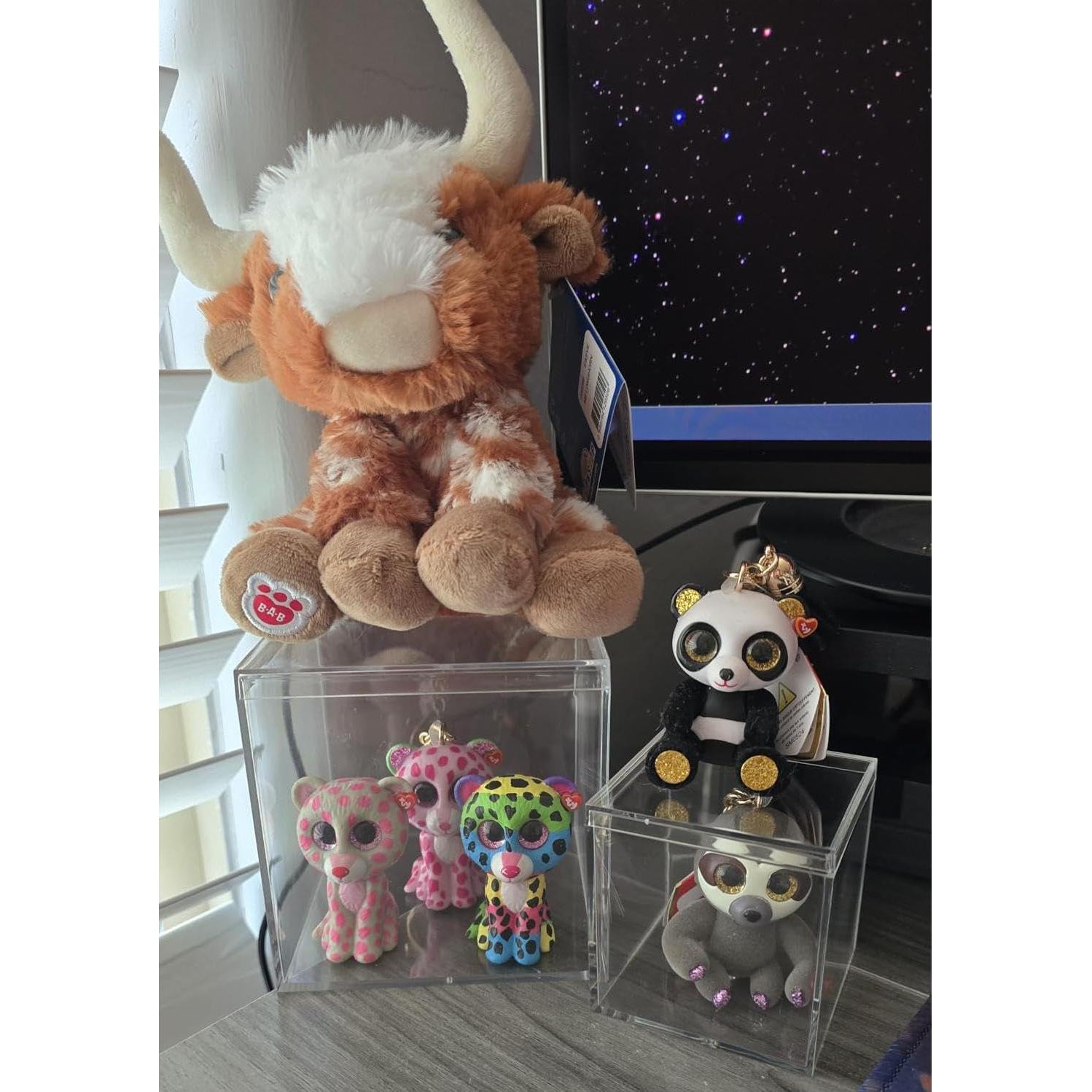 Gonice 6 Cajas Acrílicas Transparentes con Tapa 15 cm