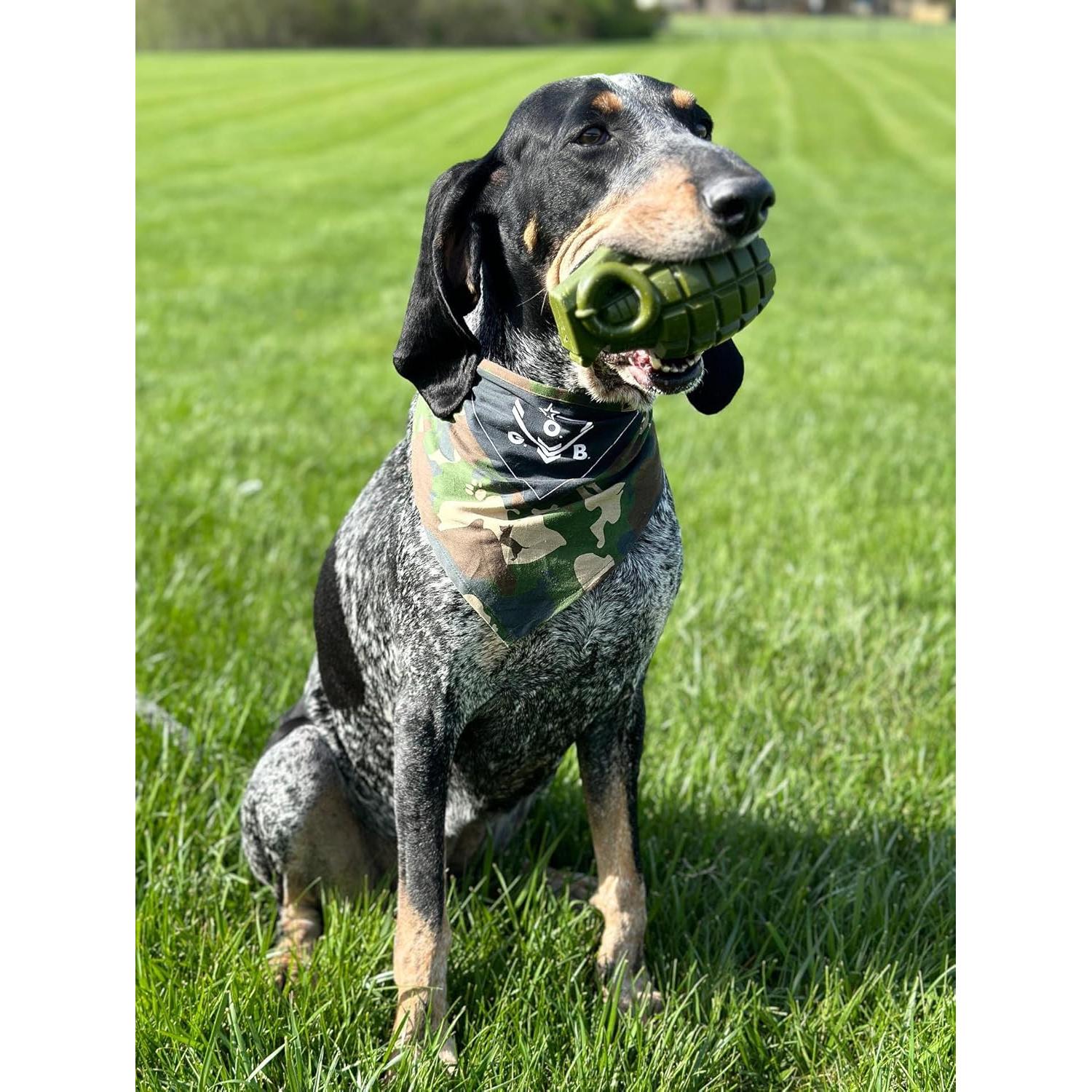 Juguete para Perros O.G.B. Granade - Duradero y Rellenable