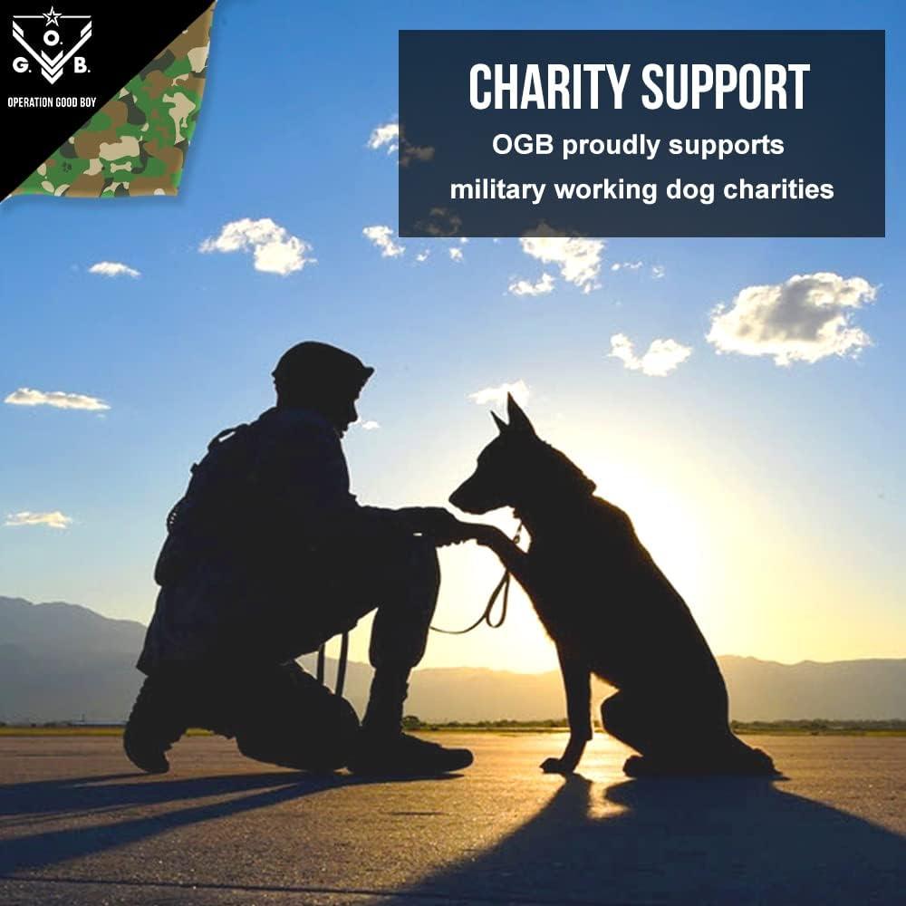 Juguete para Perros O.G.B. Granade - Duradero y Rellenable