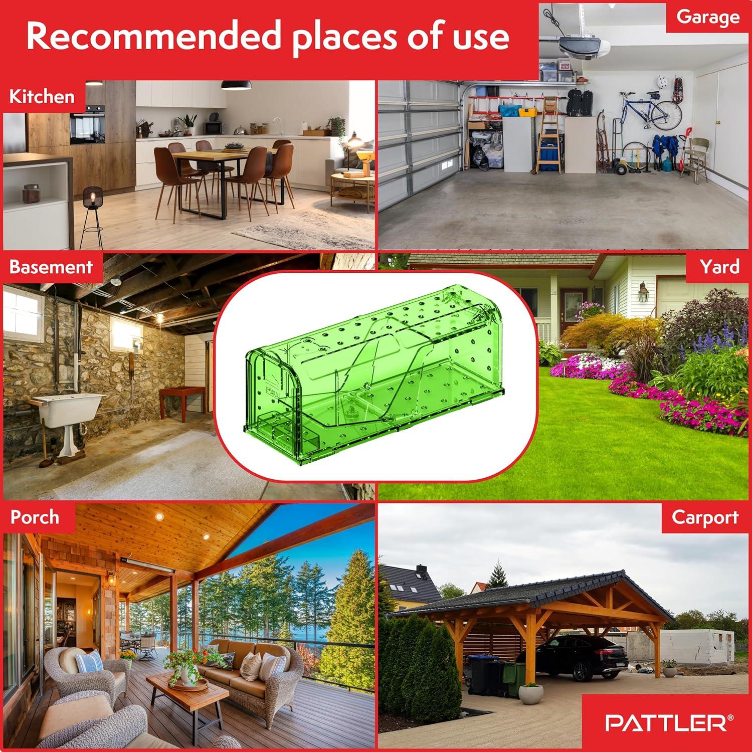 Trampa Humana para Ratones PATTLER Verde - Paquete de 2