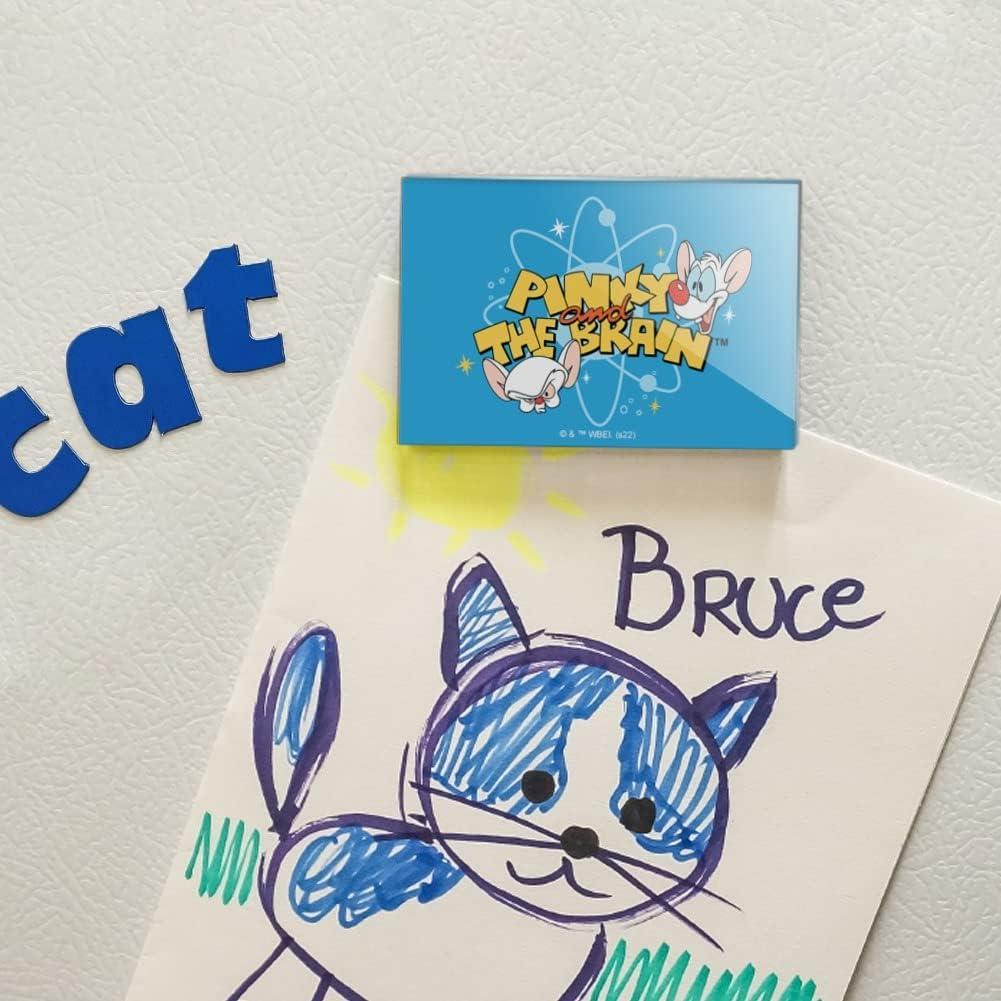 Imán Acrílico Rectangular Pinky y Cerebro 7.6x5.1cm