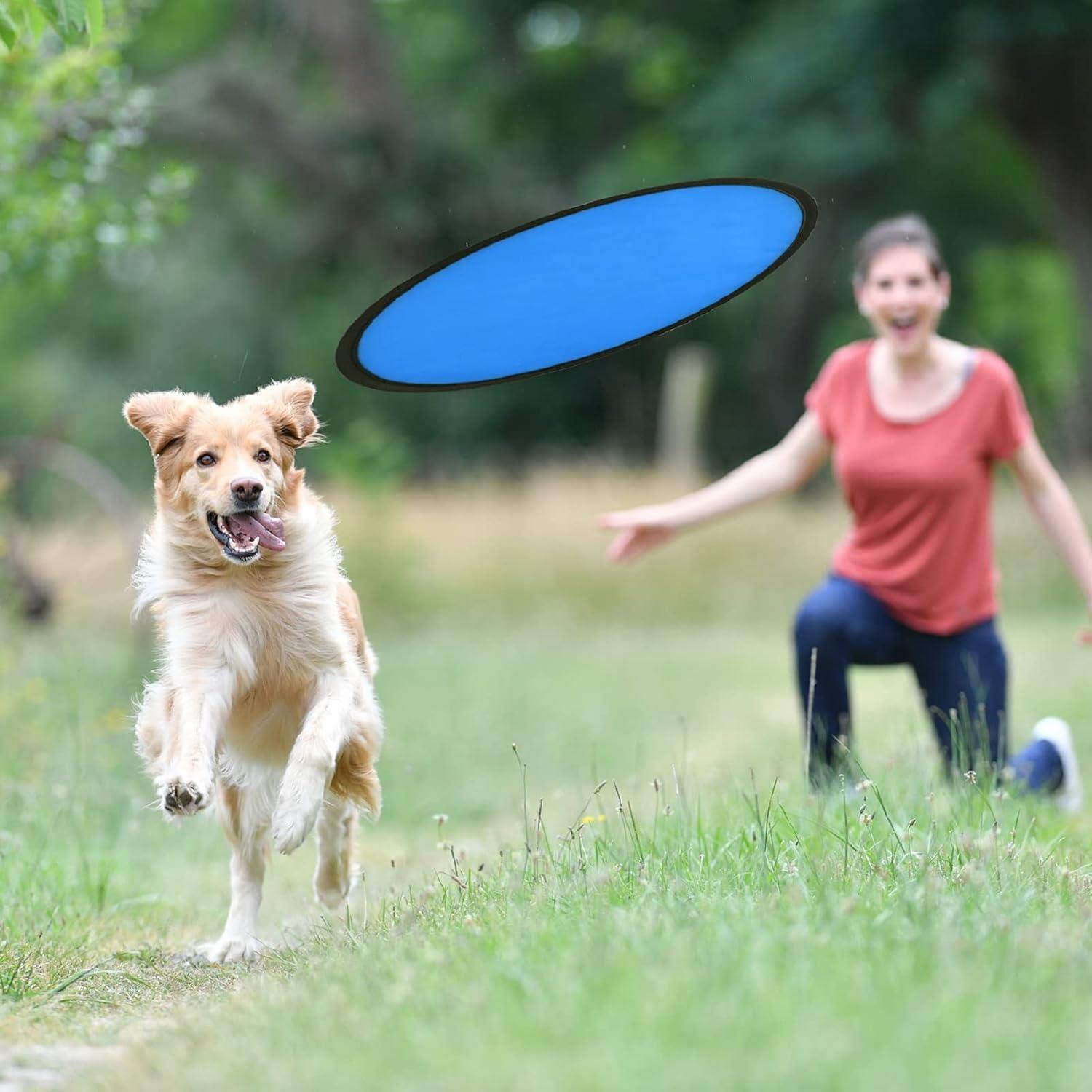 Juego de 30 Discos Voladores Plegables Mototo - 6 Colores