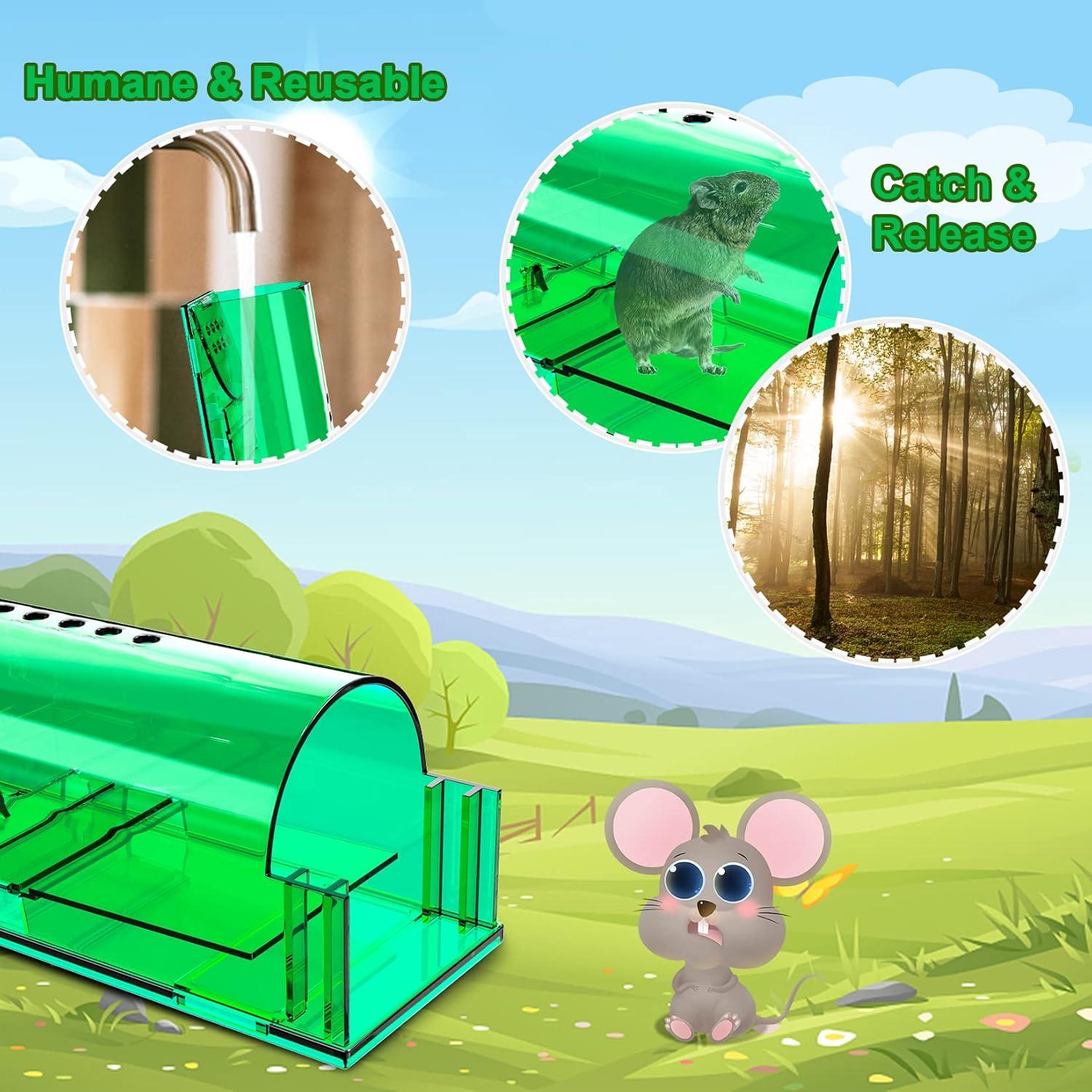 Trampas Humanas para Ratones Wanqueen 4 Pcs Reutilizables