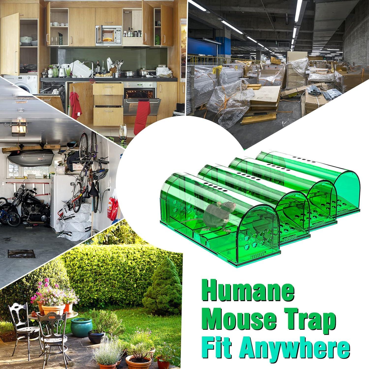 Trampas Humanas para Ratones Wanqueen 4 Pcs Reutilizables