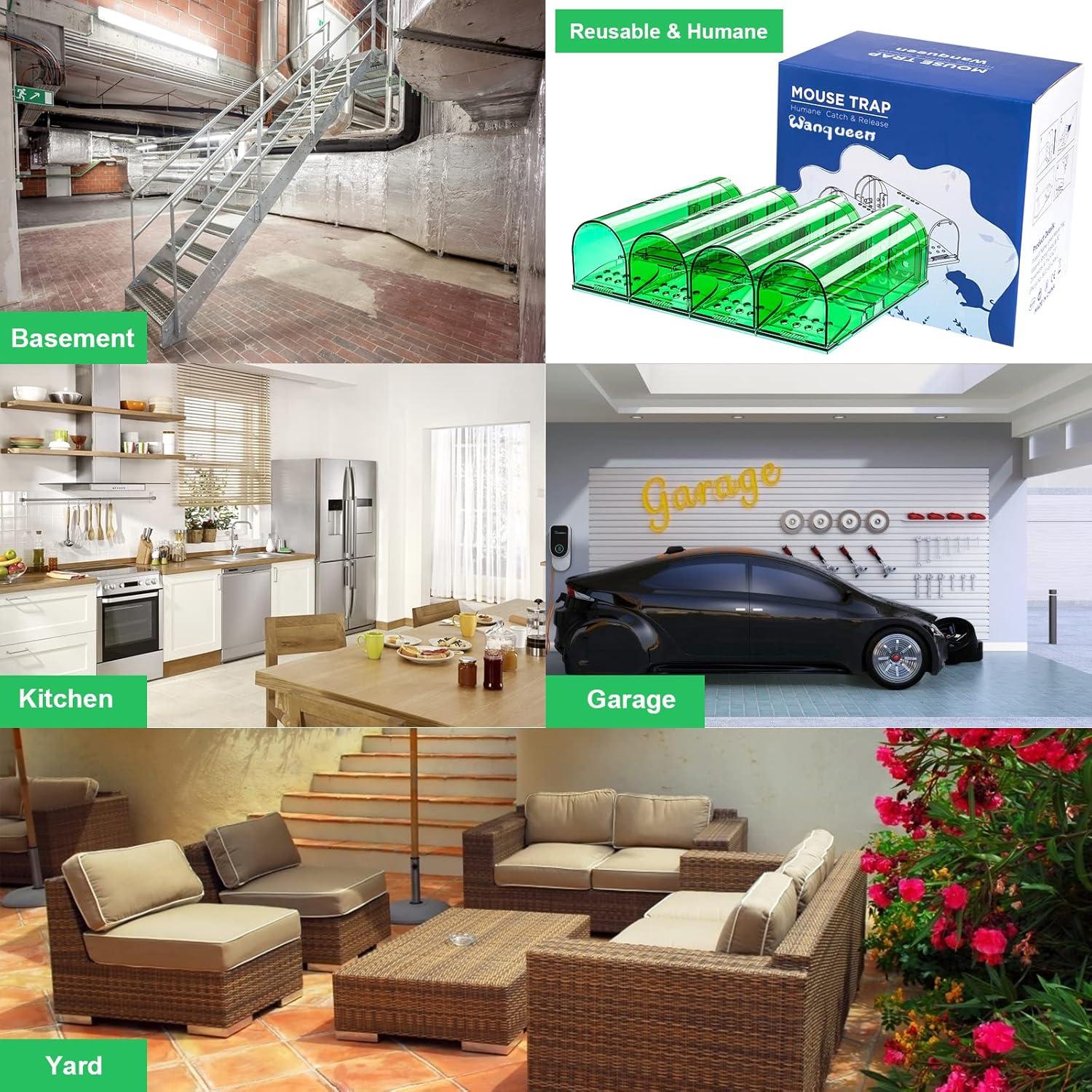 Trampas Humanas para Ratones Wanqueen 4 Pcs Reutilizables