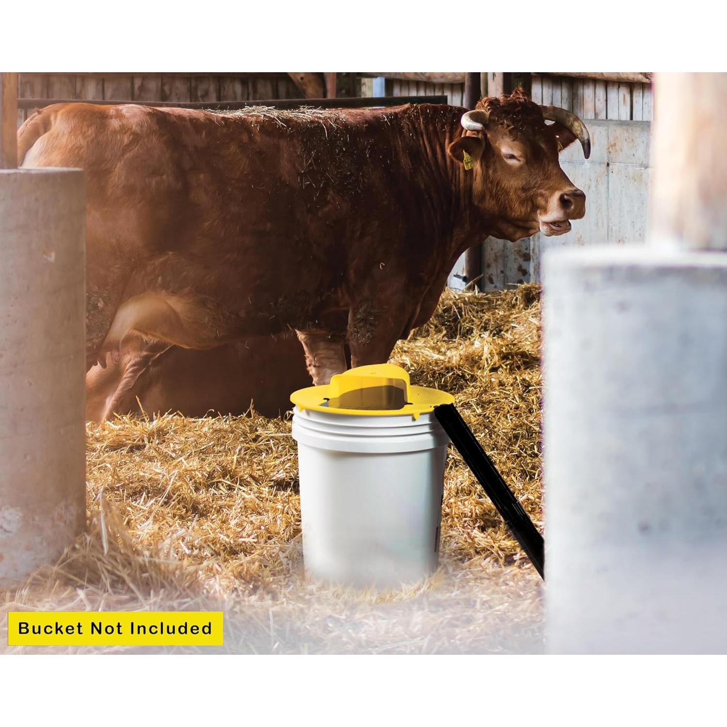 RinneTraps - Flip N Slide Bucket Lid Mouse Trap | Original | Made in USA | US PAT D1,039,648s