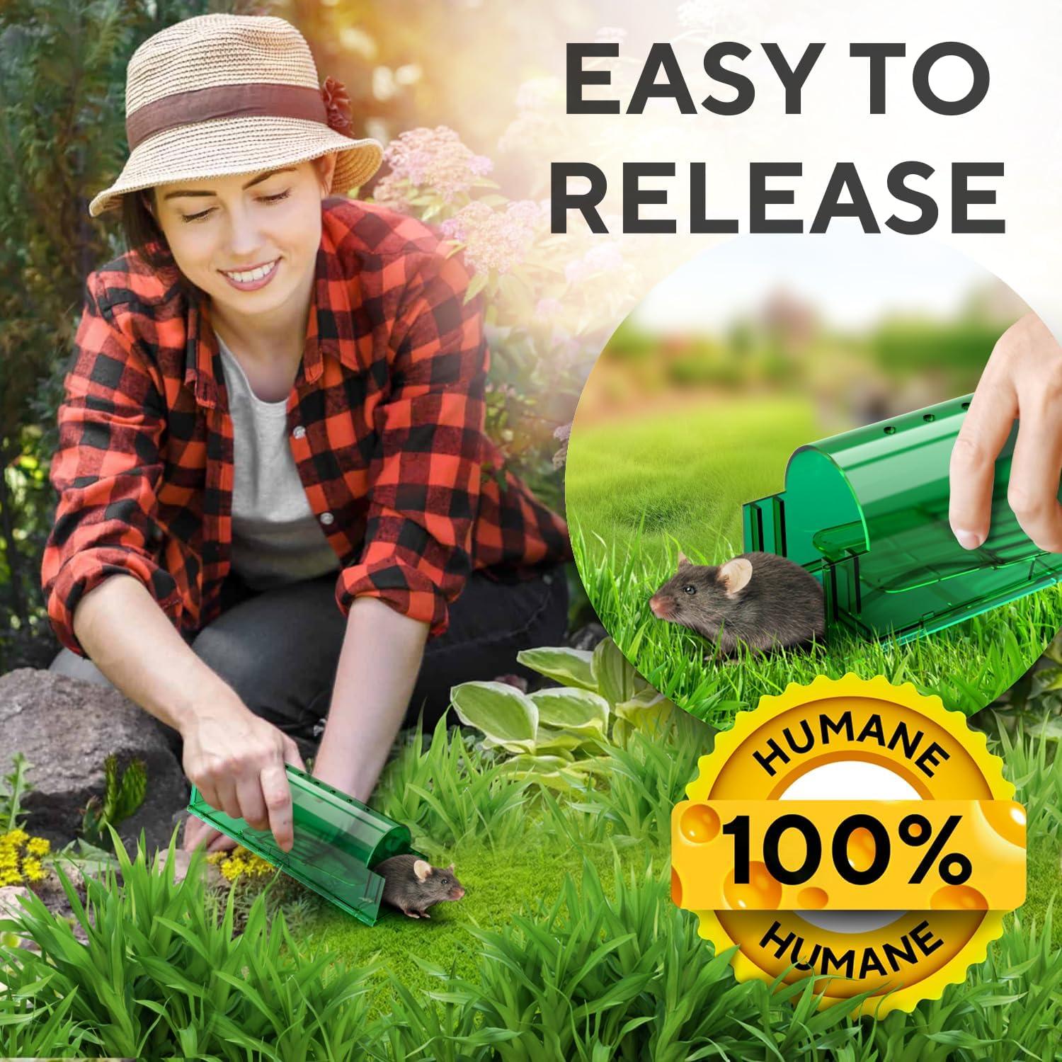 Trampas Humanas para Ratones GEROSSI - Paquete de 4, Ecológicas