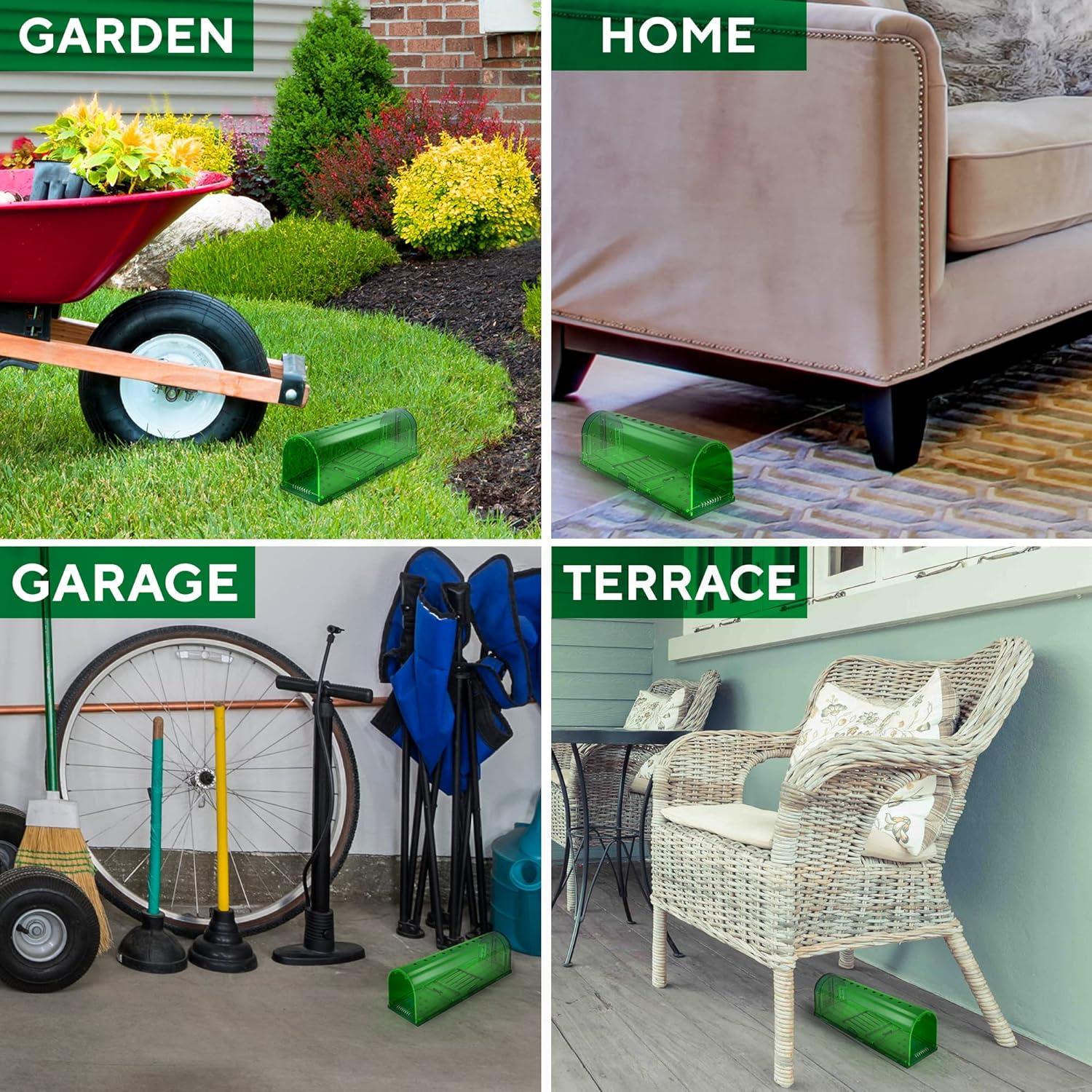 Trampas Humanas para Ratones GEROSSI - Paquete de 4, Ecológicas