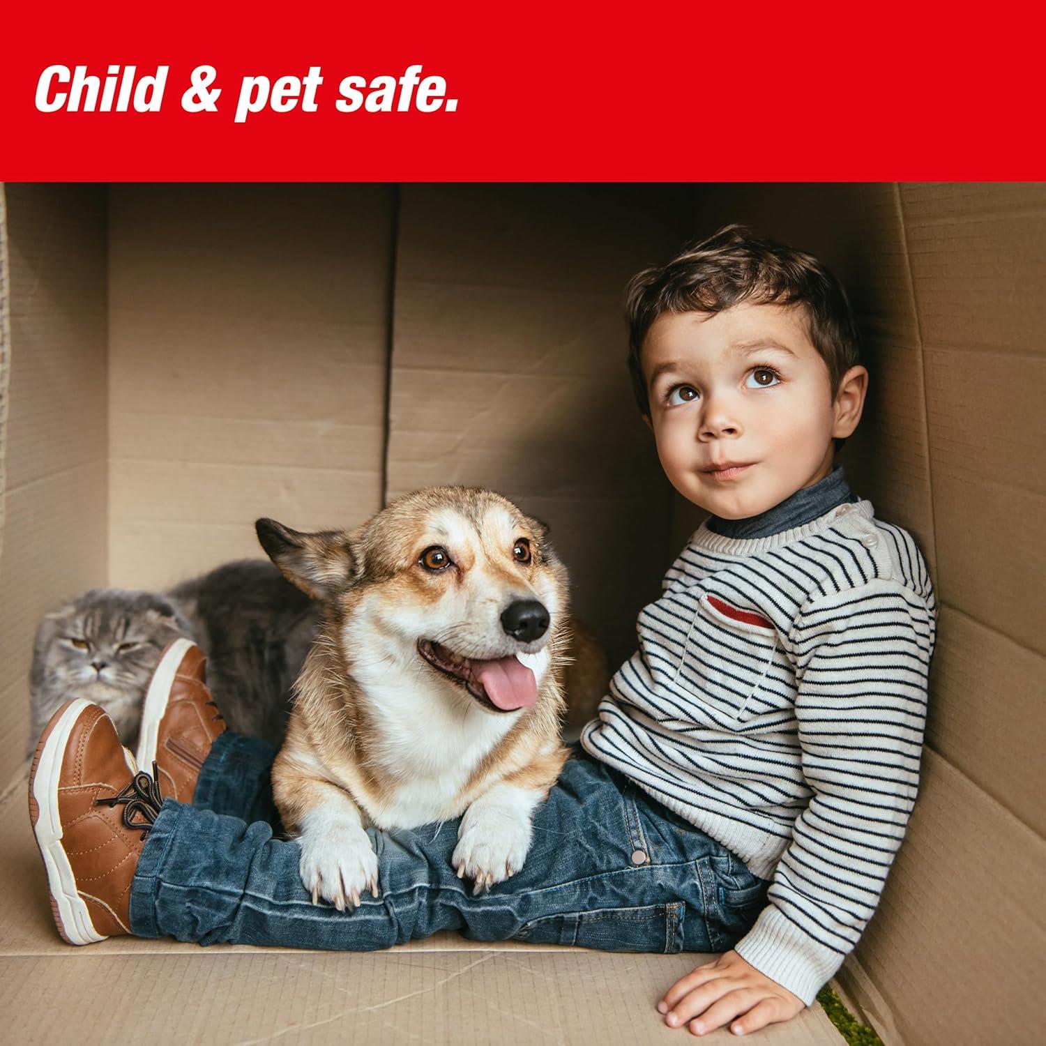 Trampa para Ratones SWISSINNO PRO SuperCat - 4 Trampas + Cebo