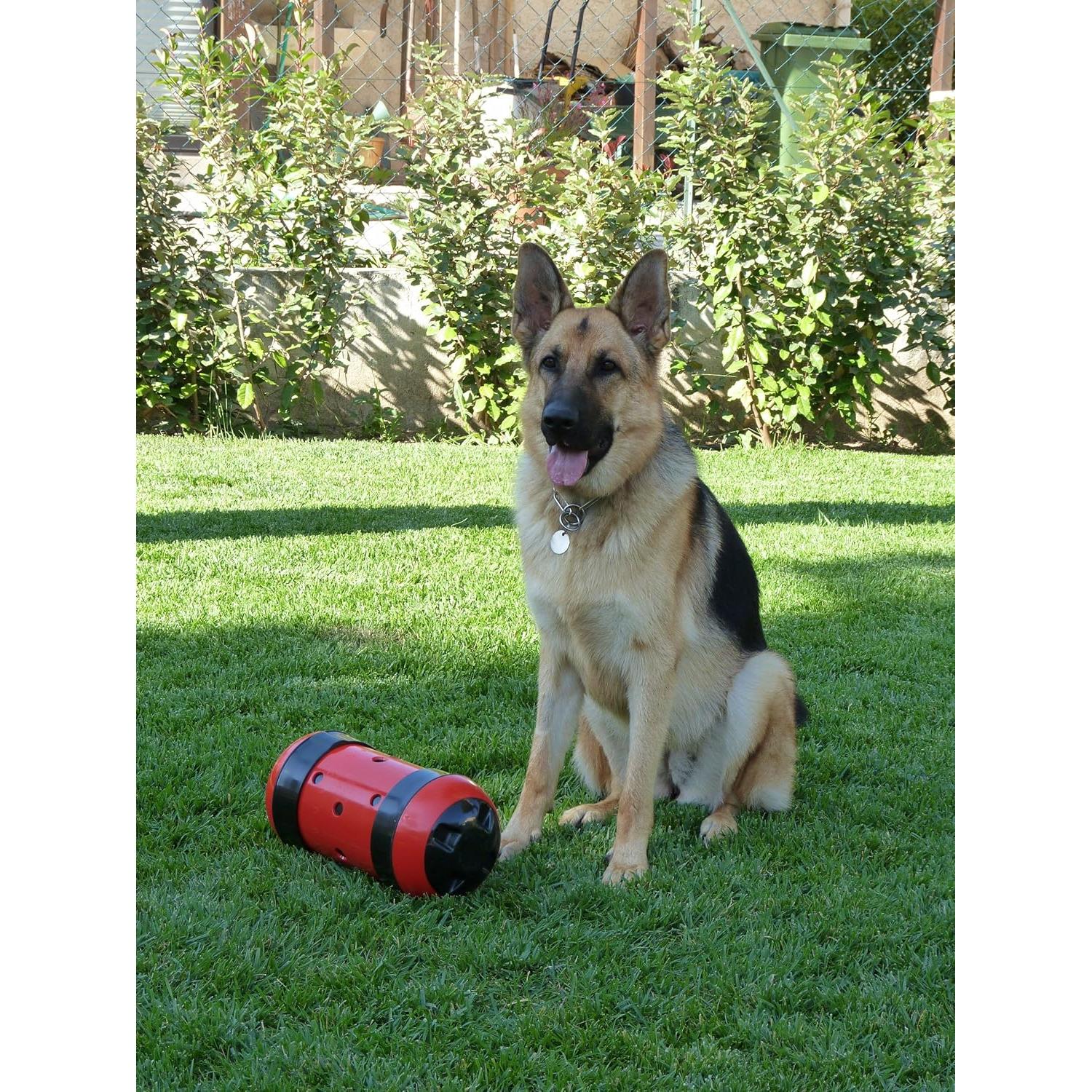 Juguete de Alimentación Pipolino XL para Perros y Equinos