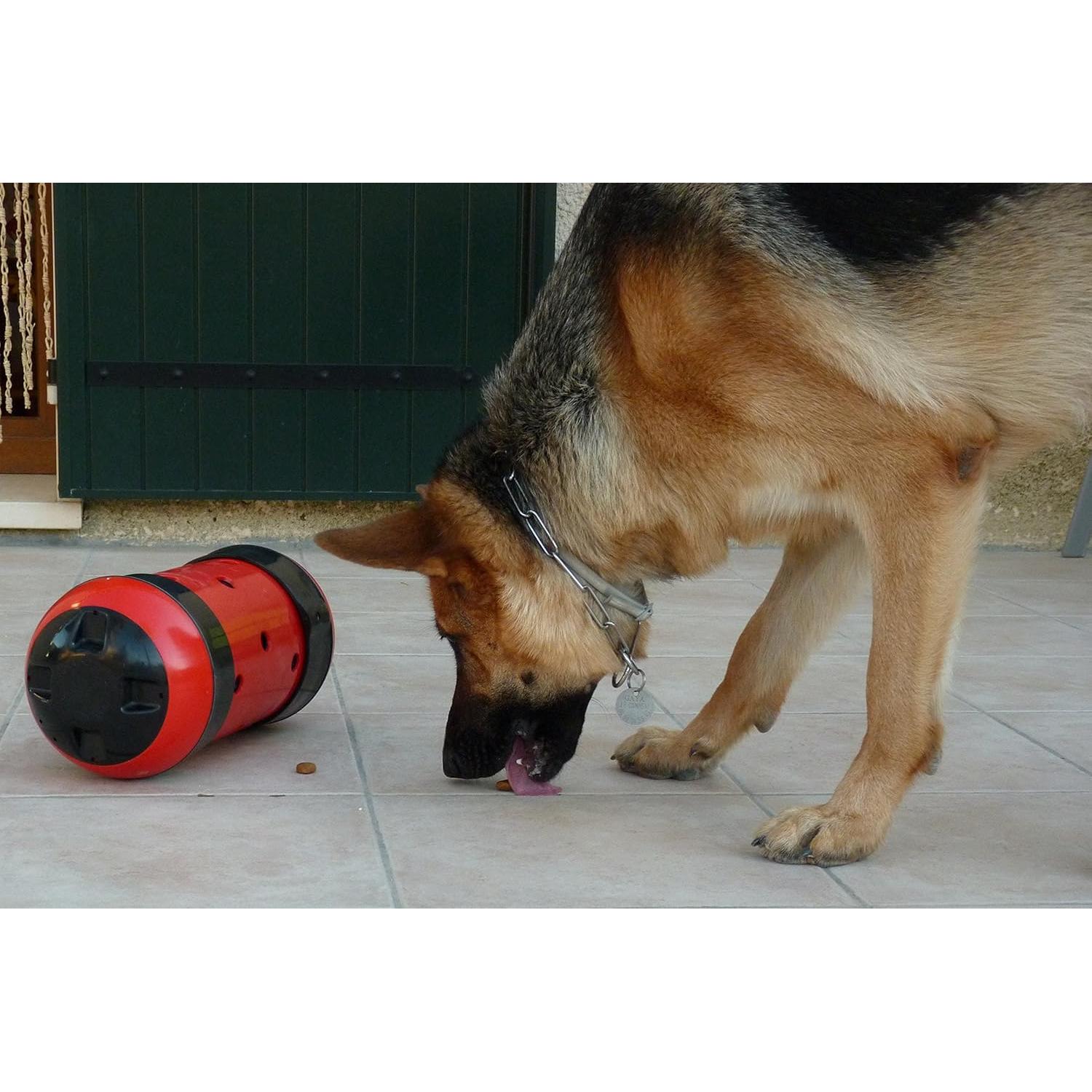 Juguete de Alimentación Pipolino XL para Perros y Equinos