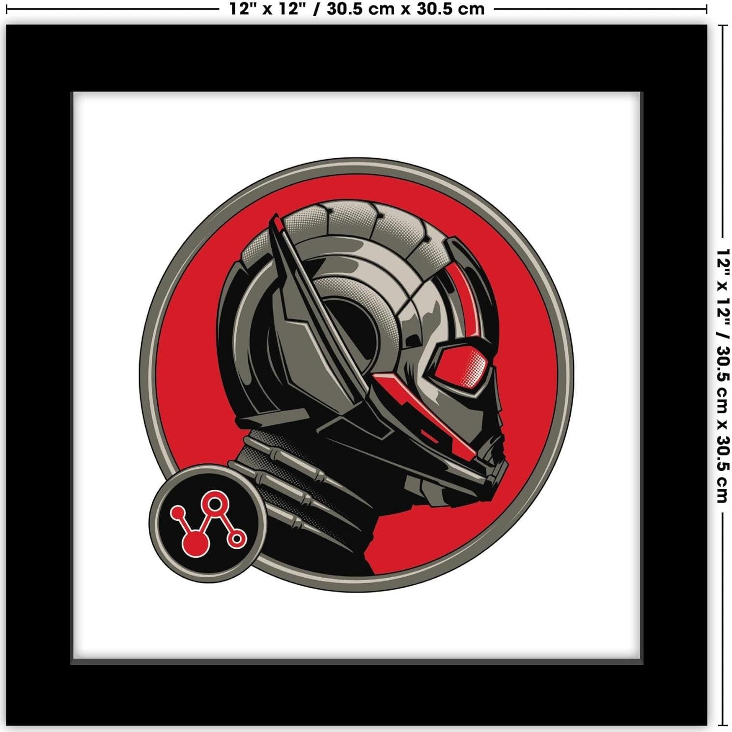 Arte de Pared Gallery Pops Marvel Ant-Man 30.5x30.5cm Enmarcado