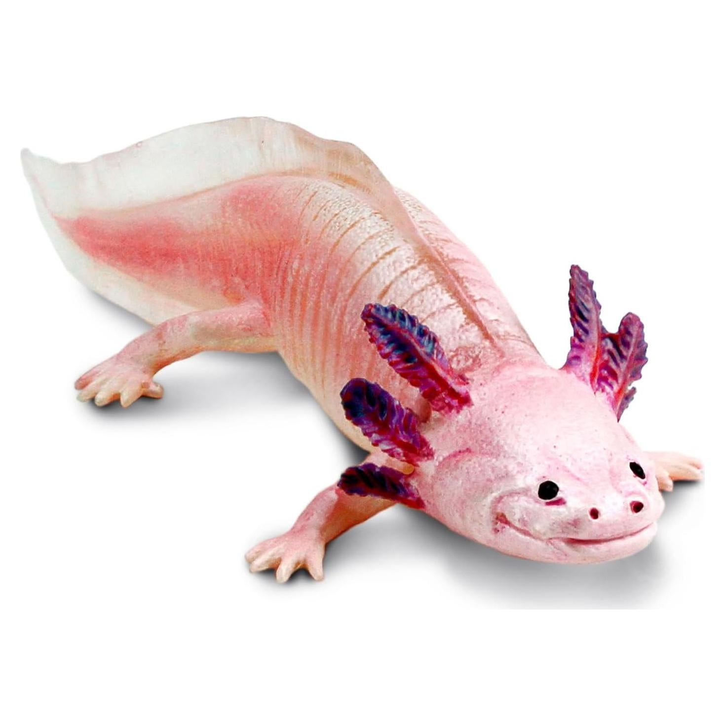 Figura Axolote Safari Ltd. 17.78 cm Juguete Educativo 3+