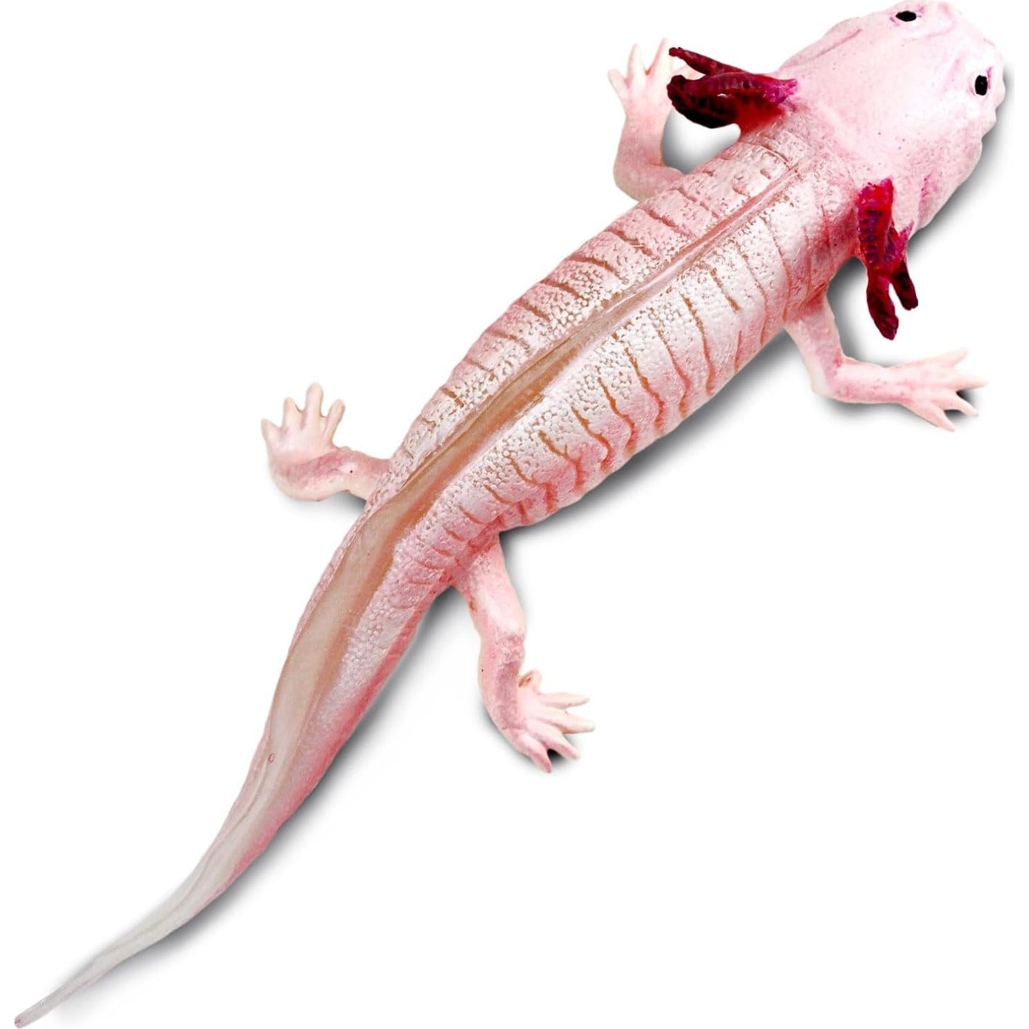 Figura Axolote Safari Ltd. 17.78 cm Juguete Educativo 3+
