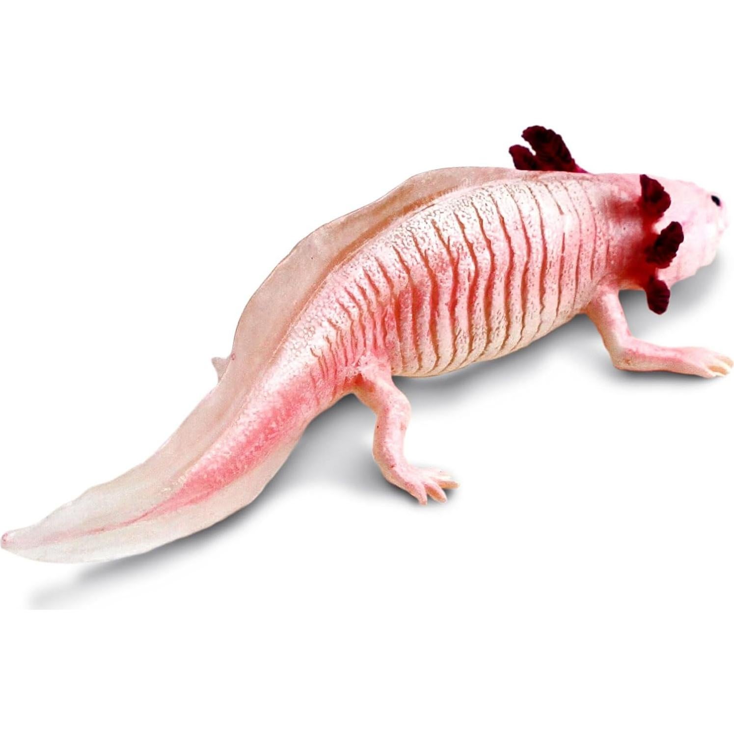 Figura Axolote Safari Ltd. 17.78 cm Juguete Educativo 3+