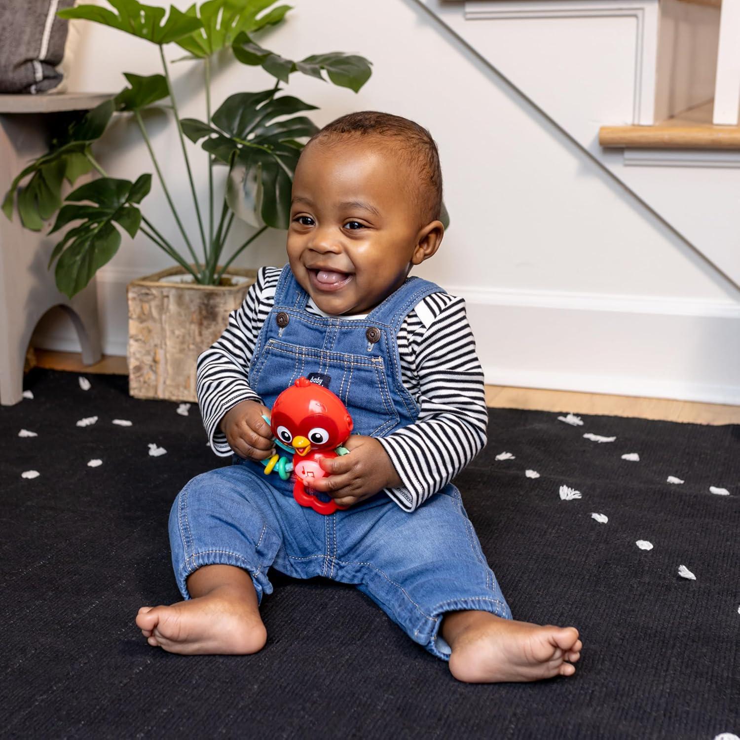 Juguete Musical Roxy Vuelo Brillante Baby Einstein 3+ Meses