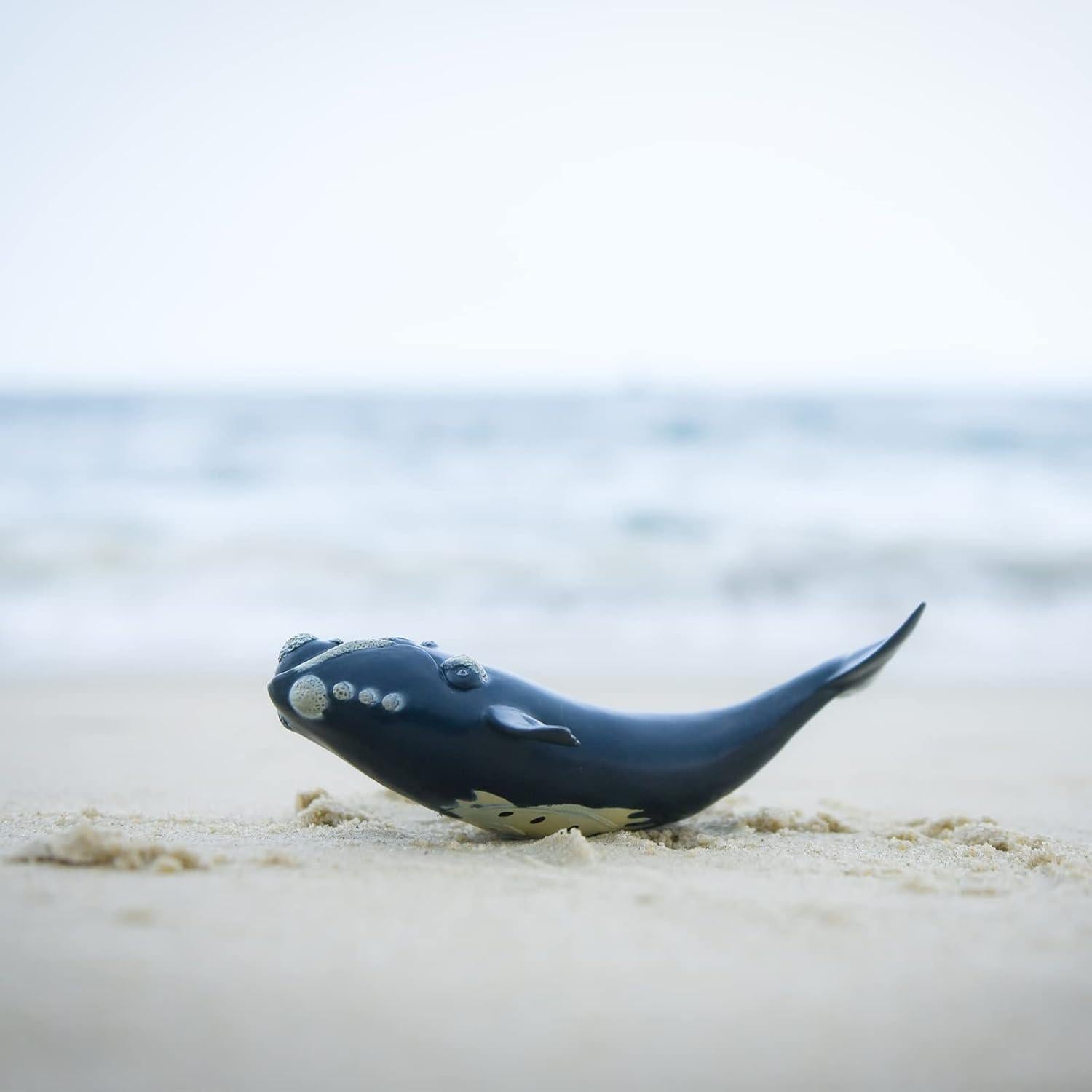 Figura de Acción Ballena Derecha Gemini&Genius 21.6 cm