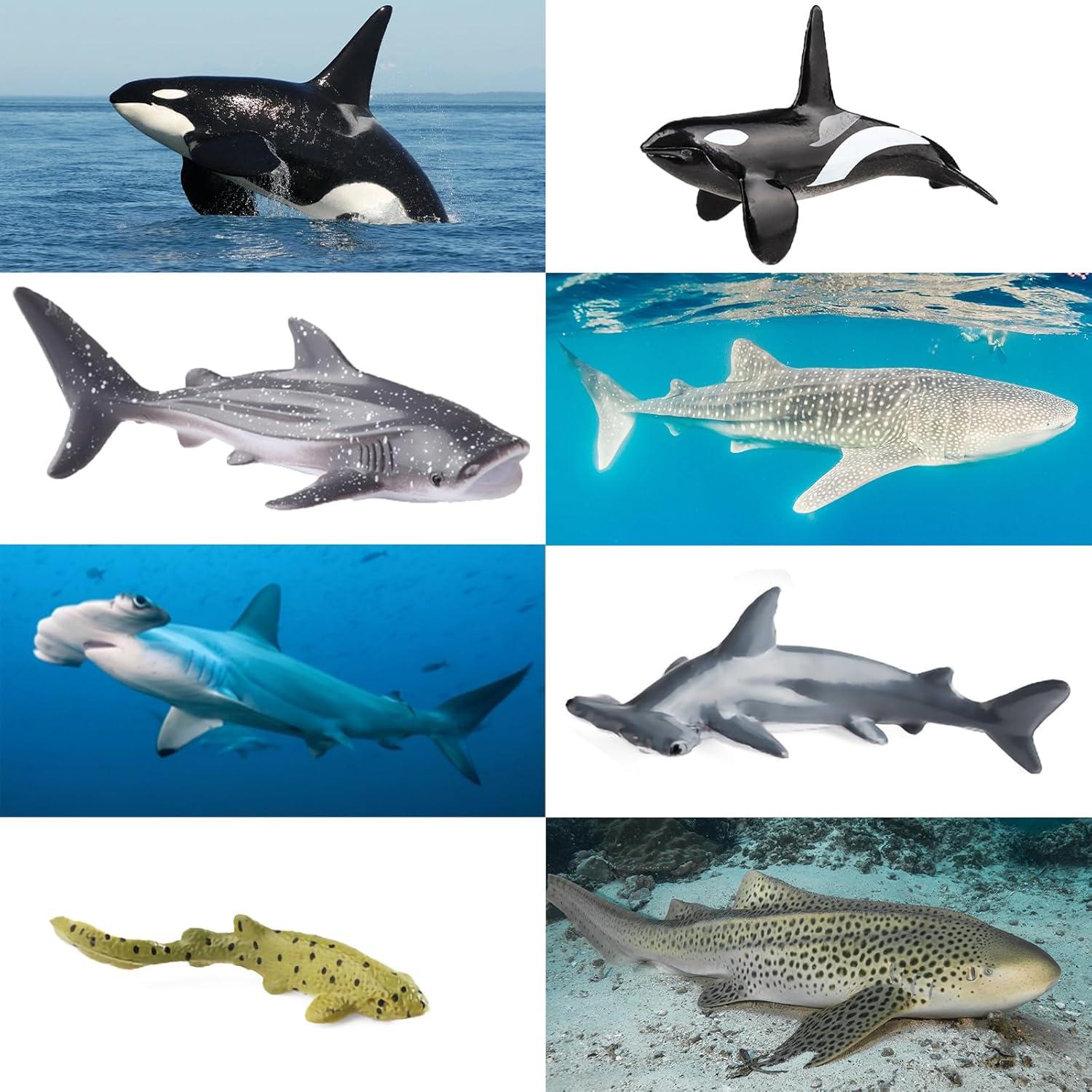 Set de 12 Figuras de Animales Marinos SCAHOW - Juguetes Realistas
