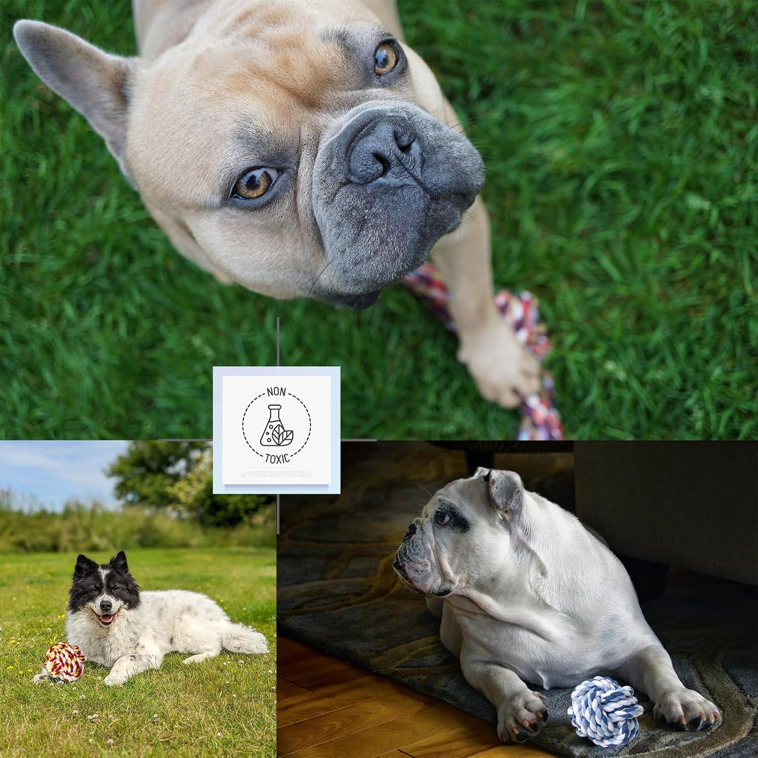 Set de Juguetes de Cuerda para Perros Pequeños Koyukuk 15 Piezas