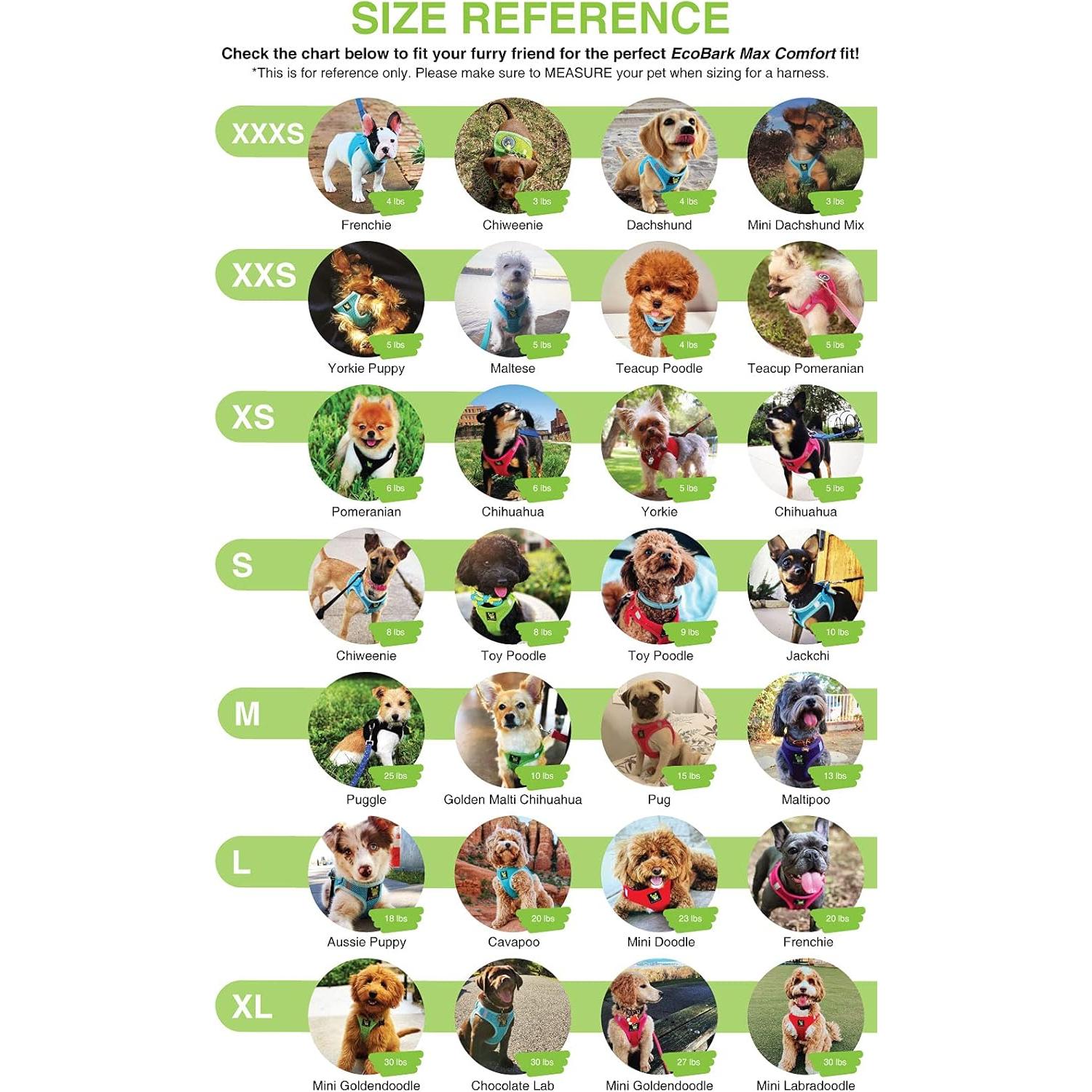 Arnés para Perros EcoBark XXXS Lavanda - Chaleco Suave para Cachorros