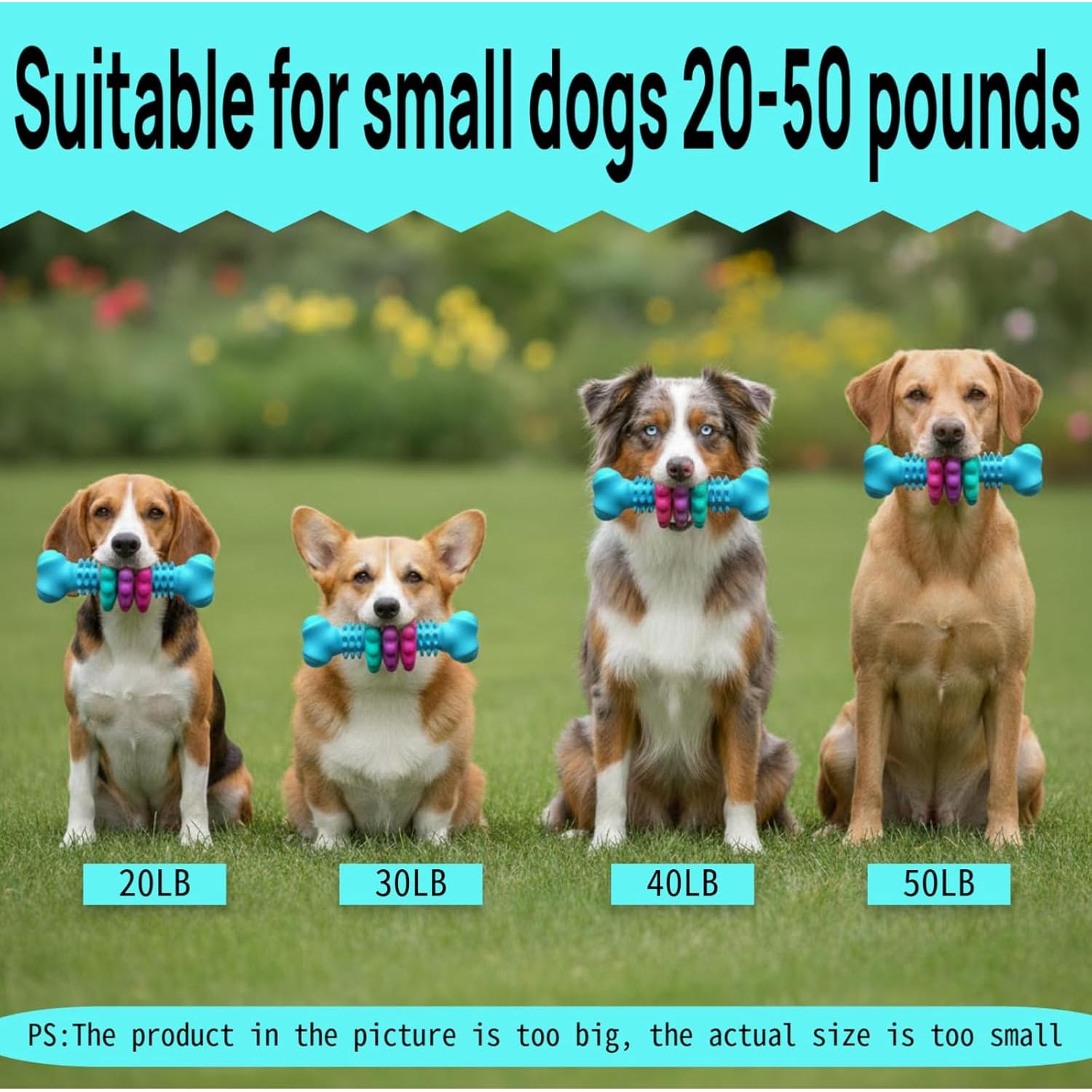 Juguete para Perros Pequeños SIDAEREN Hueso TPR 13cm