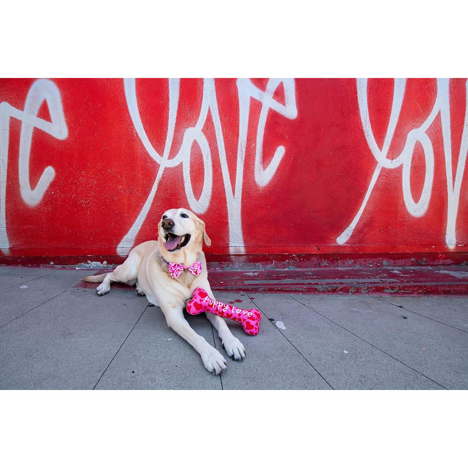 Juguete para Perros Huxley & Kent - Power Plush Grande con Squeaker