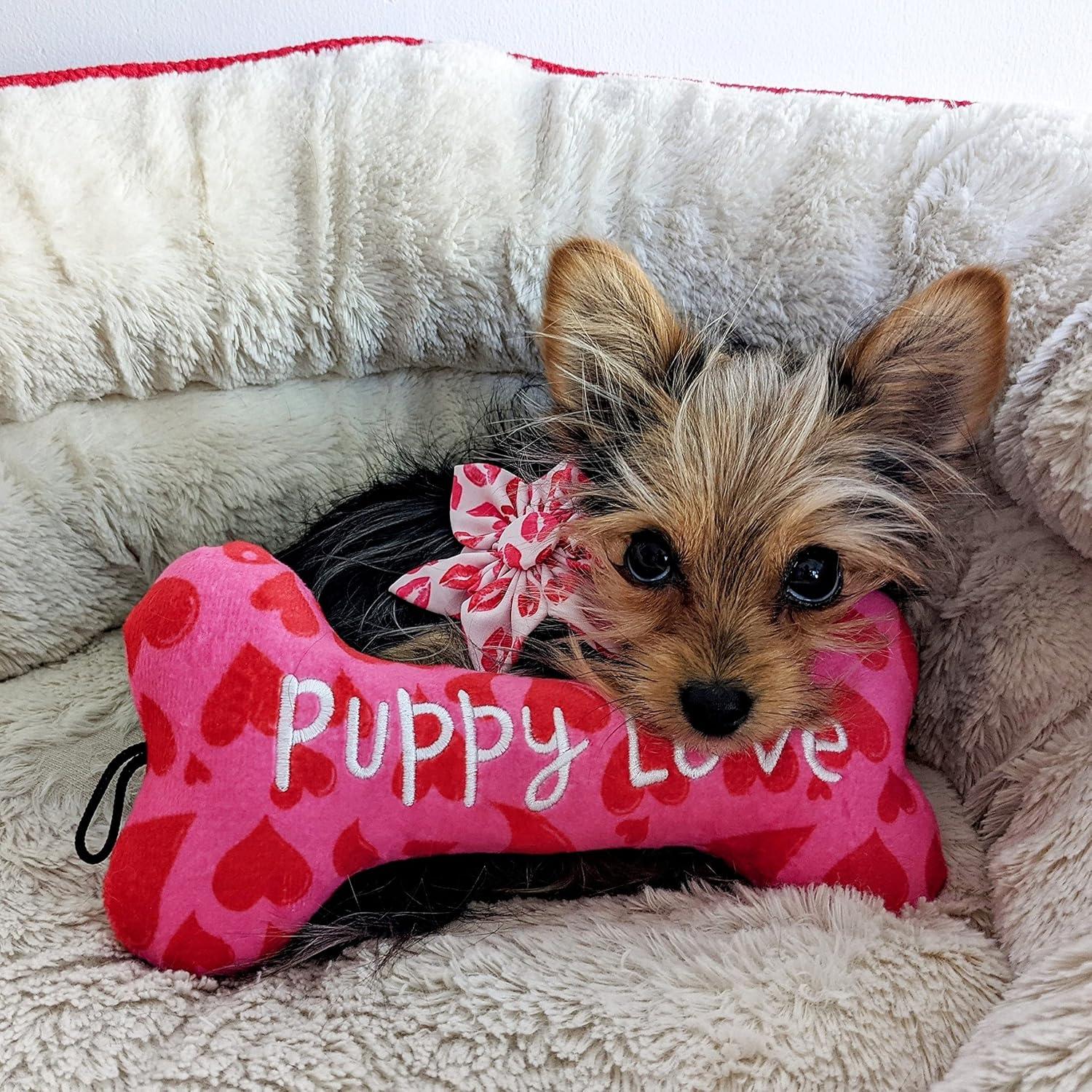 Juguete para Perros Huxley & Kent - Power Plush Grande con Squeaker