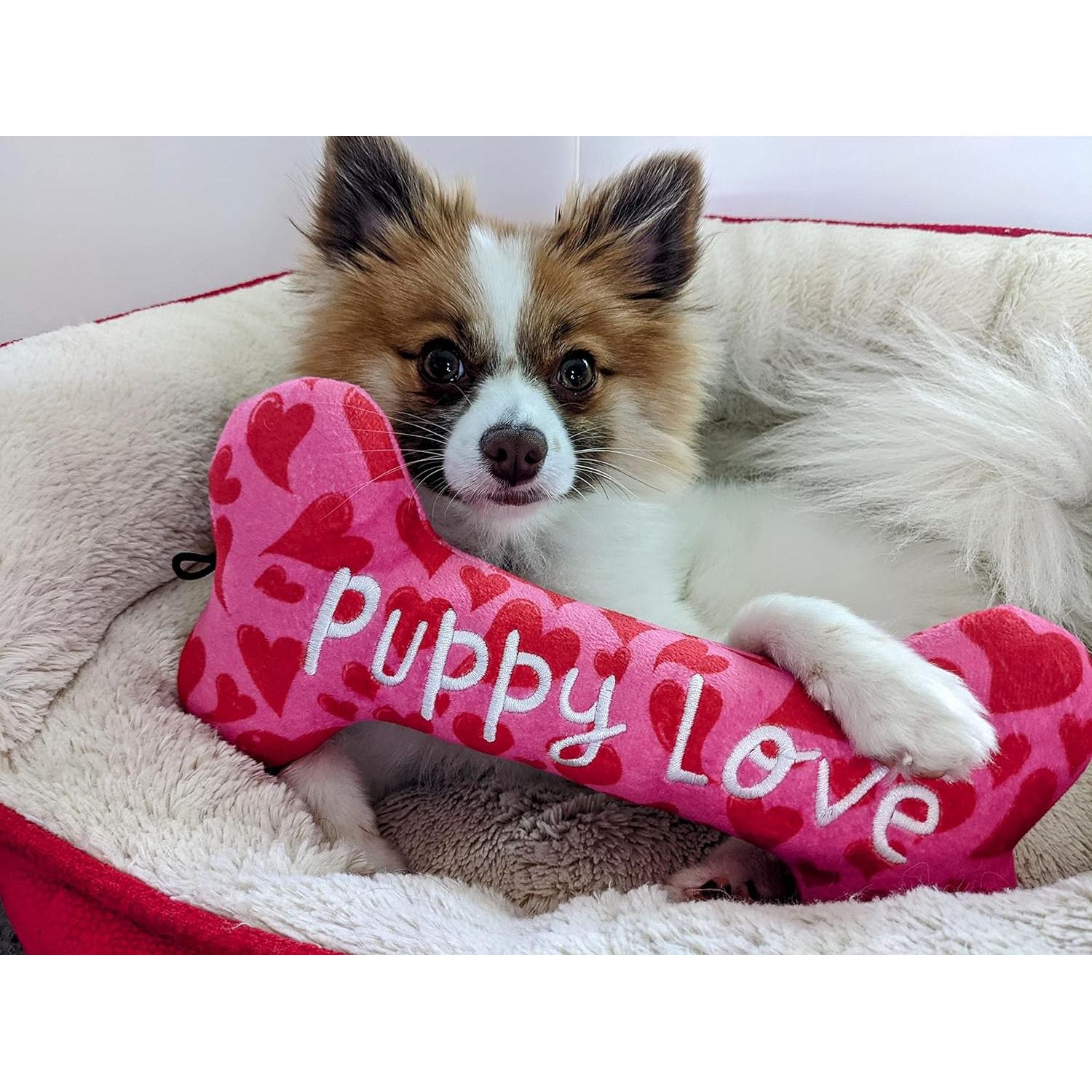 Juguete para Perros Huxley & Kent - Power Plush Grande con Squeaker