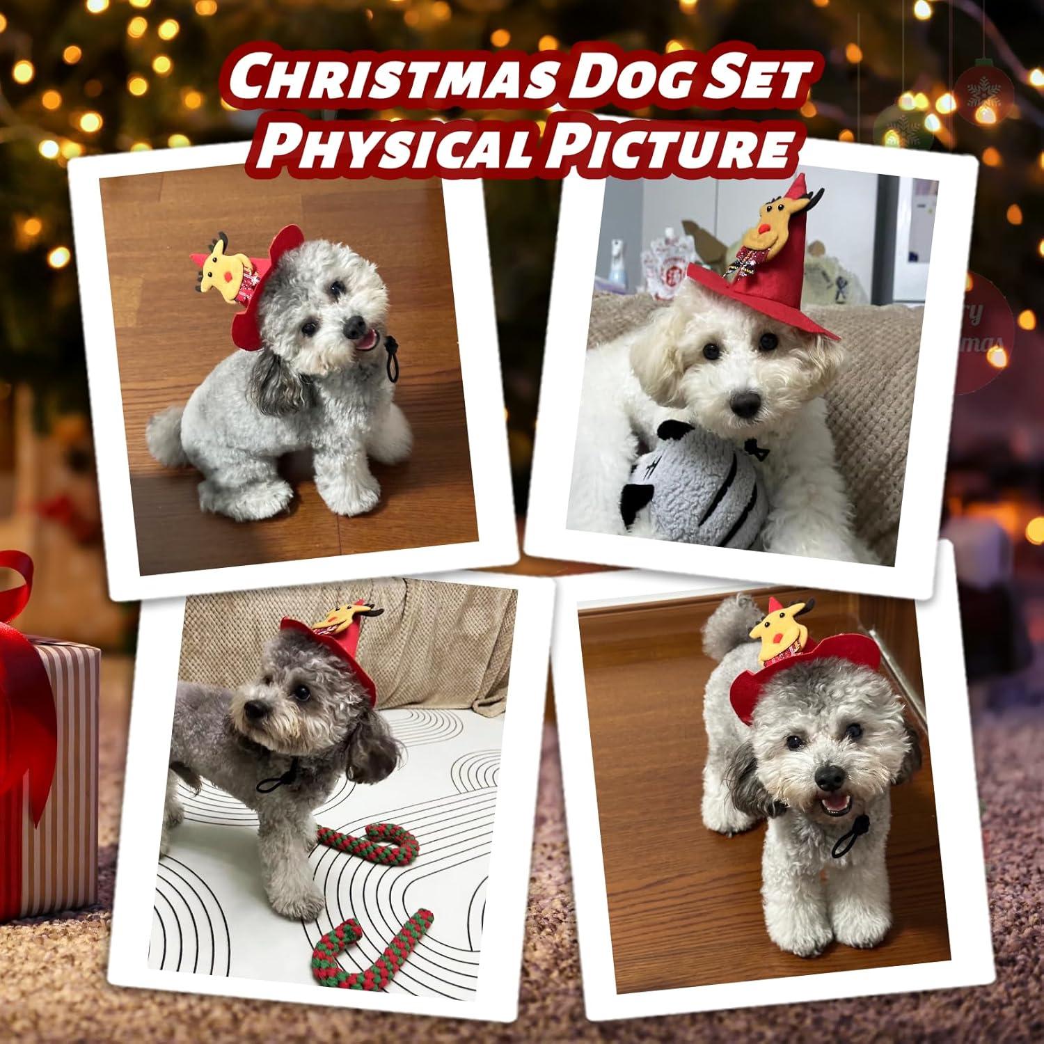 Conjunto de Juguetes de Navidad para Perros DARDOHIA 8 Piezas