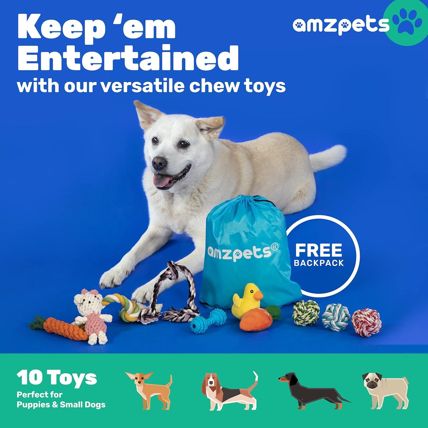 Conjunto de 10 Juguetes para Perros Pequeños AMZpets